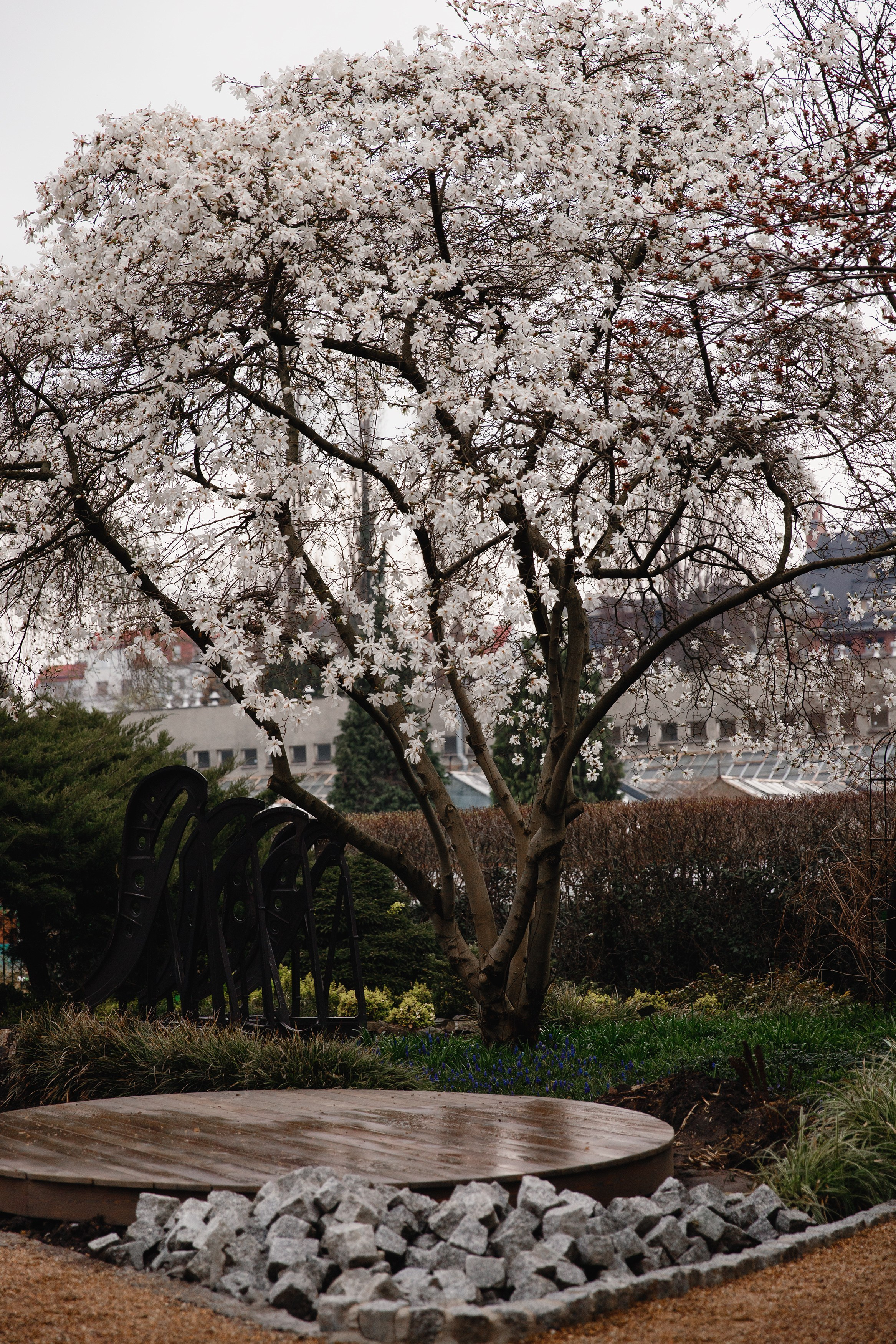 Botanical garden in Wroclaw. Kaja | fotograf we Wrocławiu | ludzie i psy