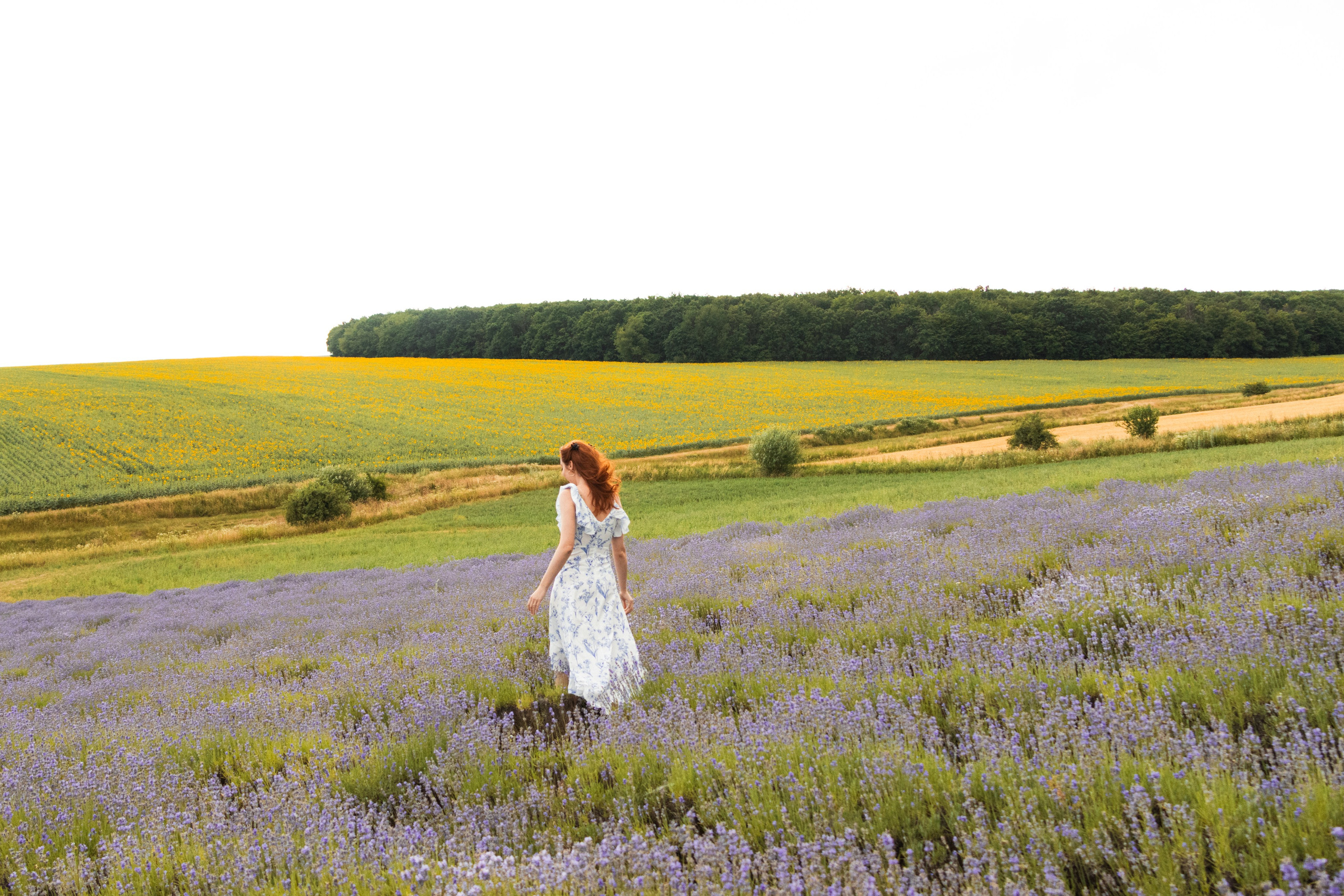Couple Sessions — Lavender Fields