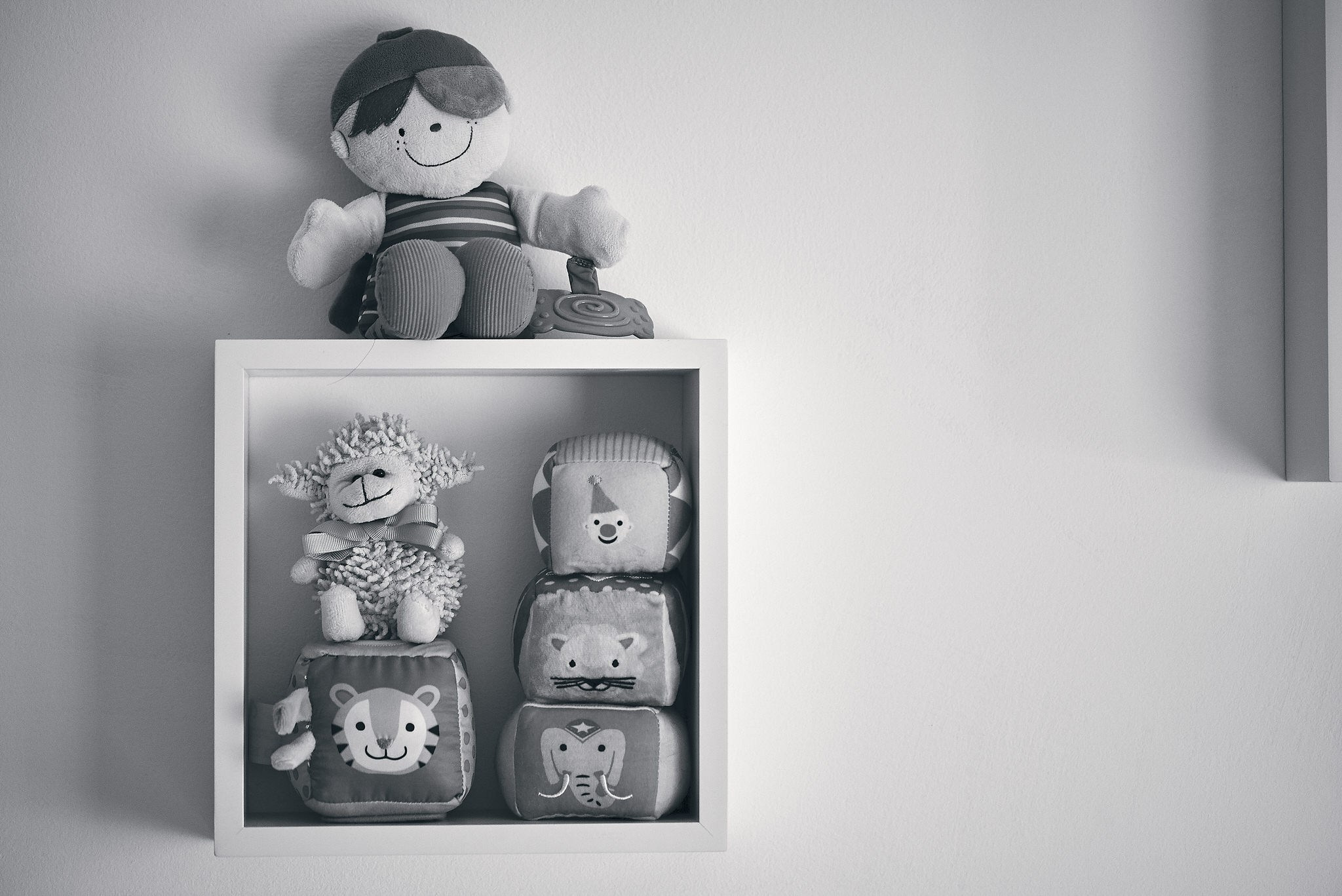 Matei Andrei. Georgescu Alexandru Fotograf