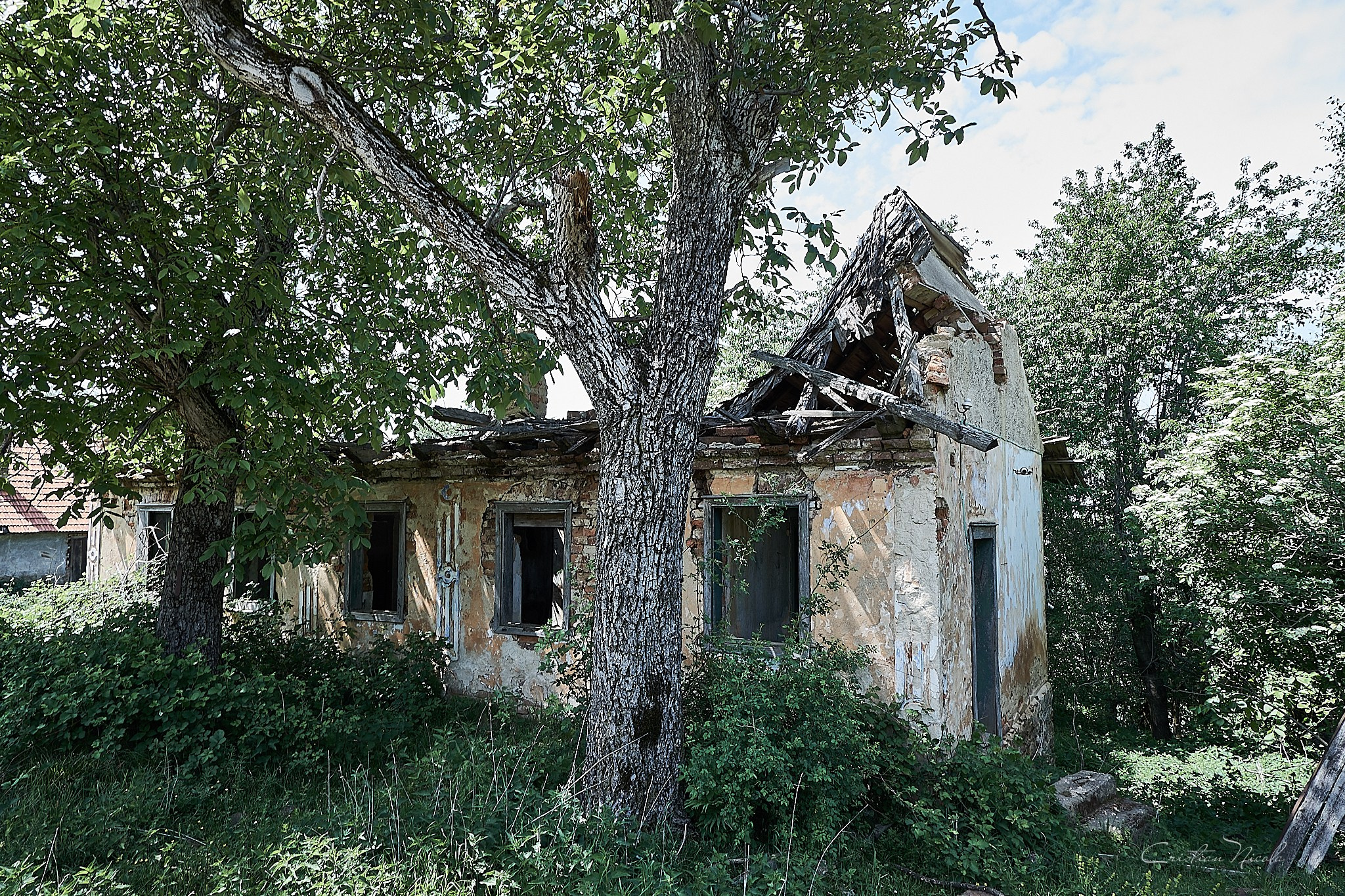 Lindenfeld, satul părăsit, jud. Caraș-Severin. Pagina principală