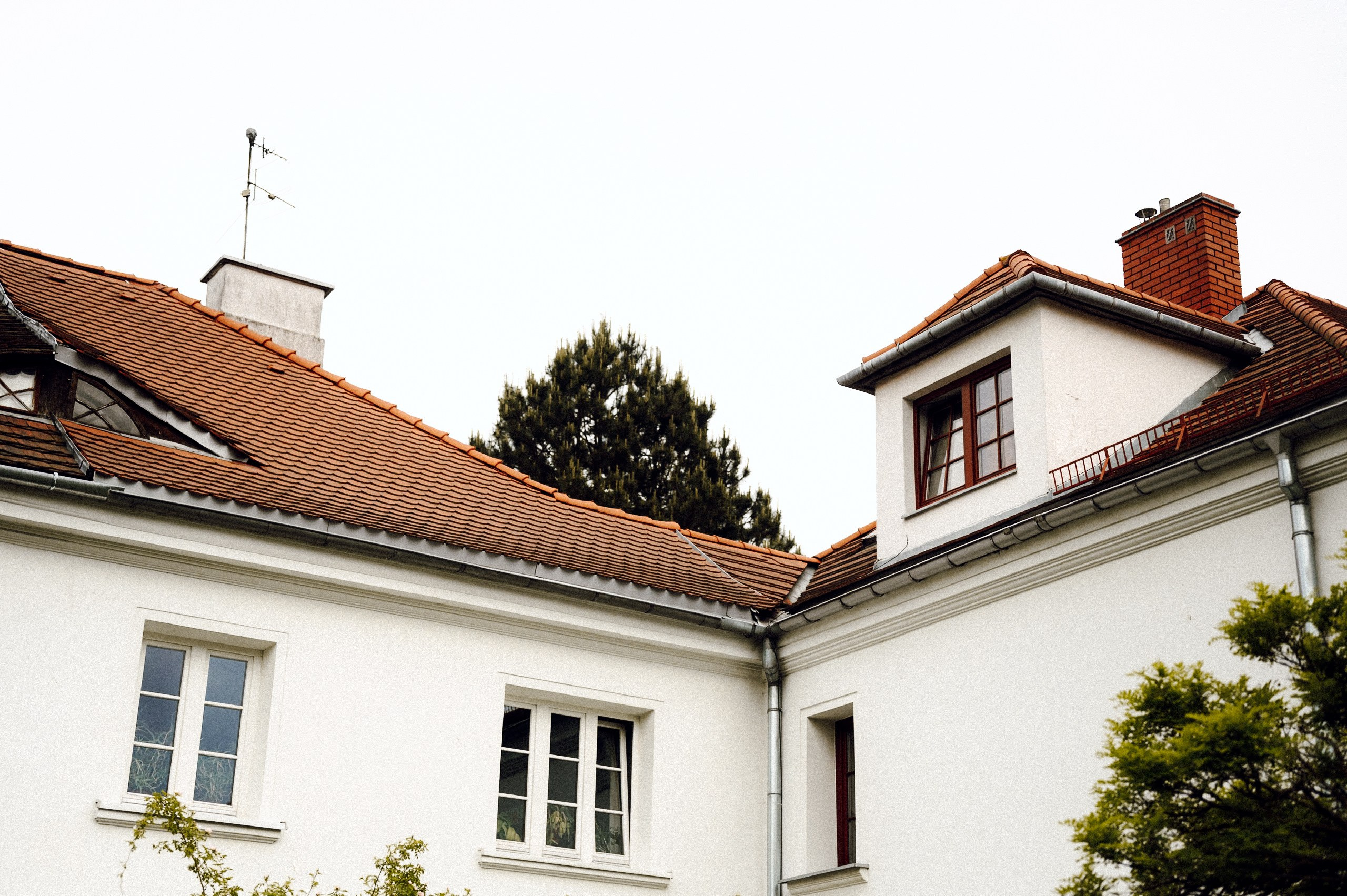 Ania & Emil. Ślubny fotograf Poznań | Oliwia Makara