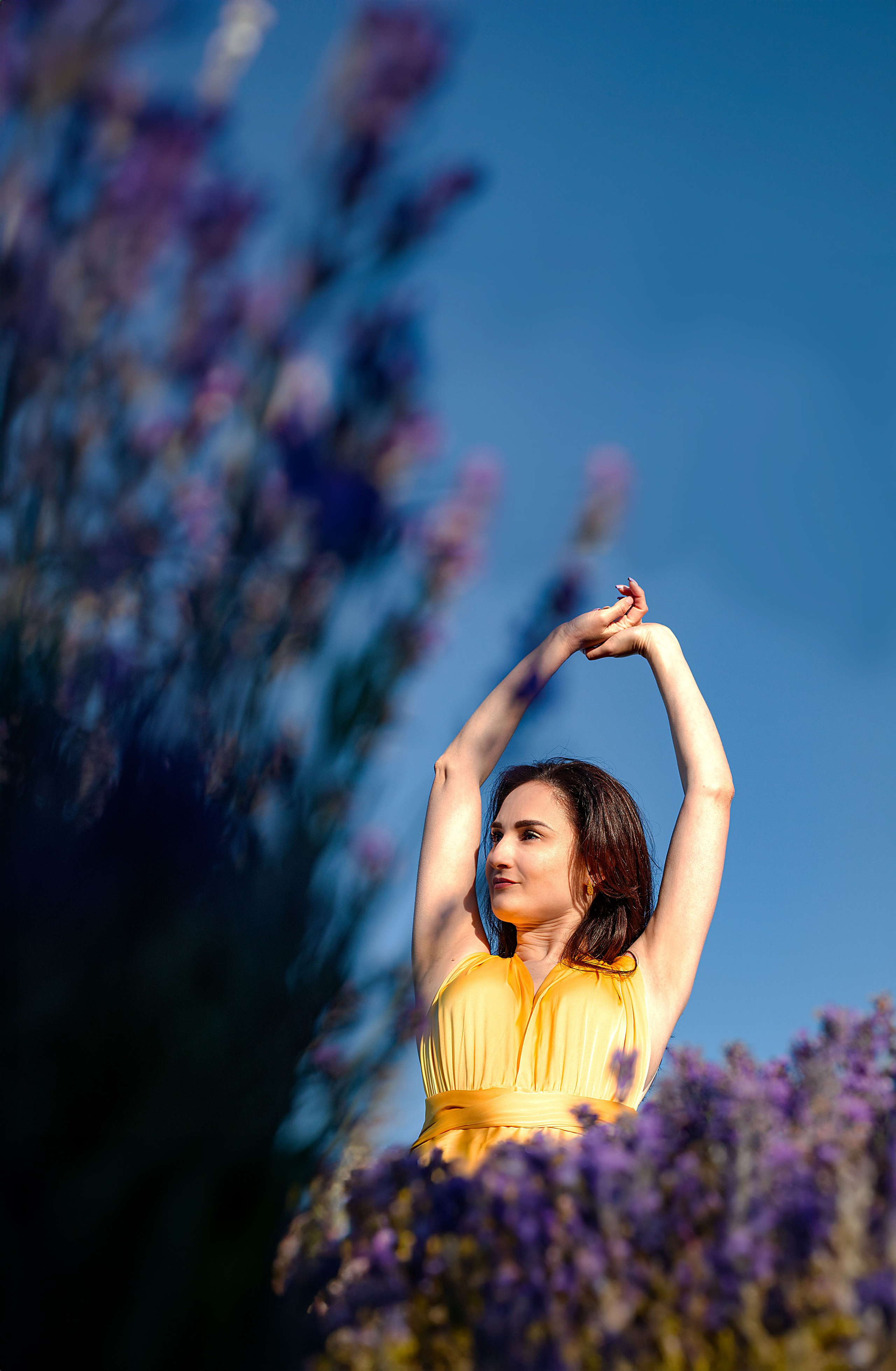 Лаванда. Детский и семейный фотограф в г. Бельцы