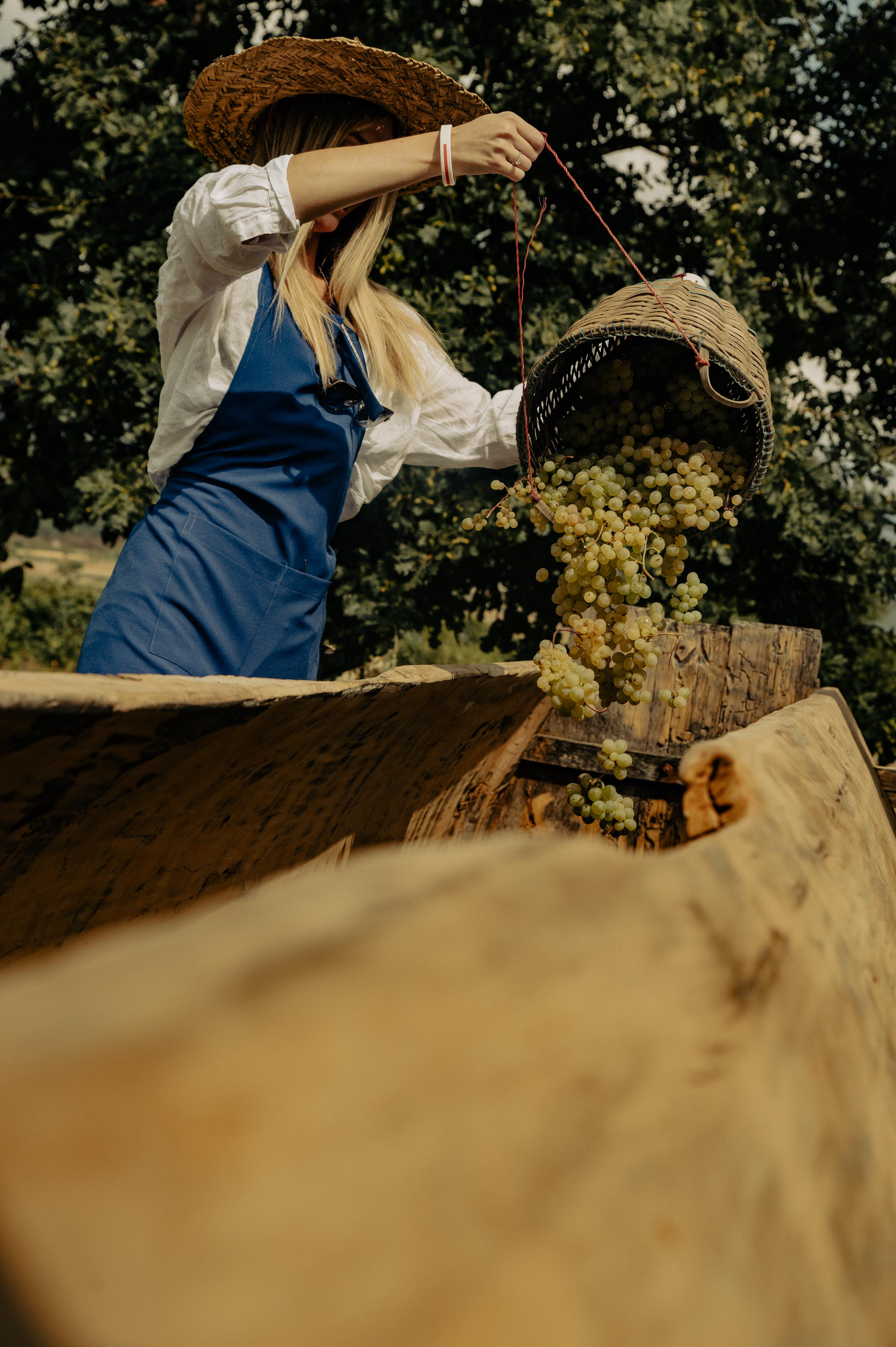 RTKVELLI. Фотограф в Тбилиси. Портрет, репортаж, эвент. Геннадий Демченко