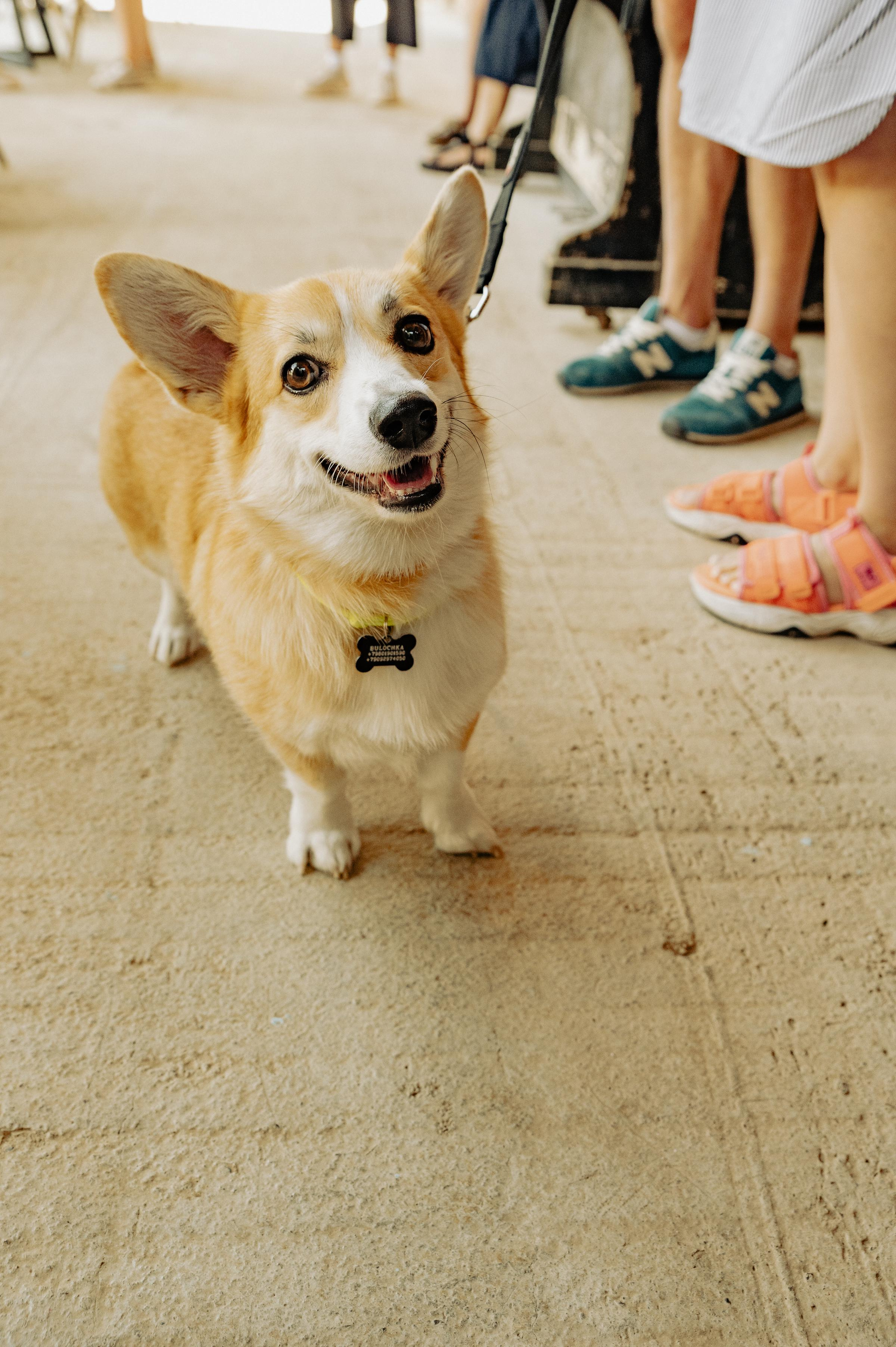 RTKVELLI. Фотограф в Тбилиси. Портрет, репортаж, эвент. Геннадий Демченко