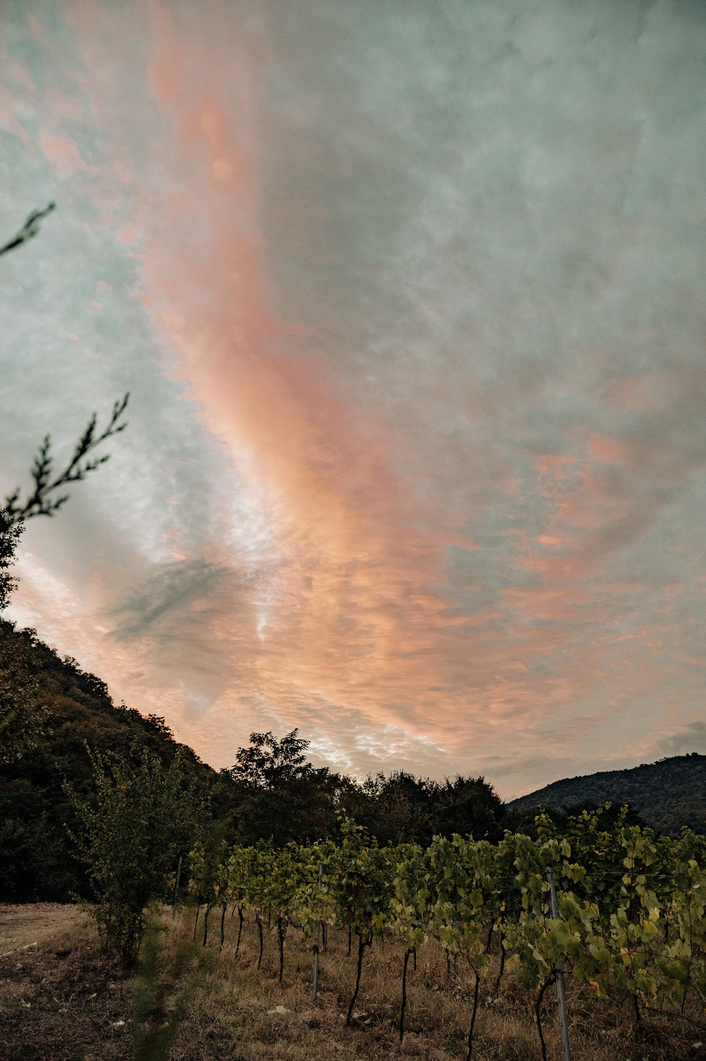 RTKVELLI. Фотограф в Тбилиси. Портрет, репортаж, эвент. Геннадий Демченко