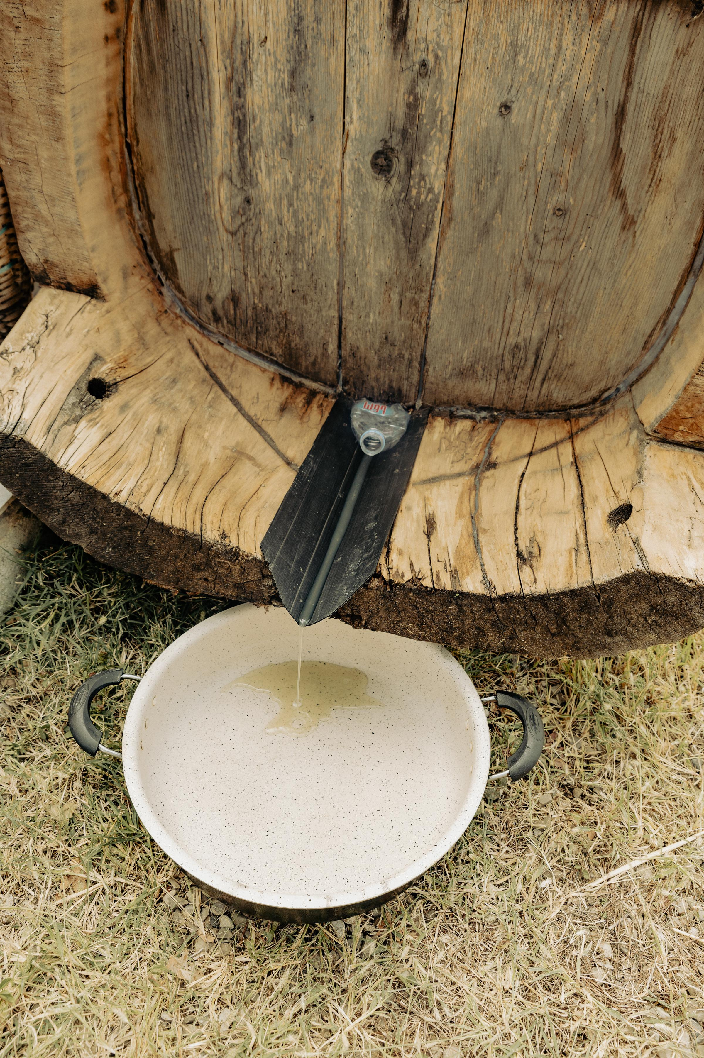 RTKVELLI. Фотограф в Тбилиси. Портрет, репортаж, эвент. Геннадий Демченко