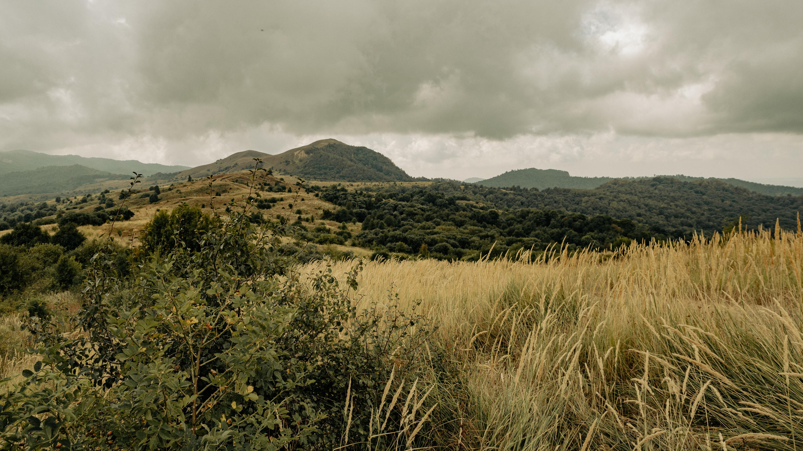 RTKVELLI. Фотограф в Тбилиси. Портрет, репортаж, эвент. Геннадий Демченко