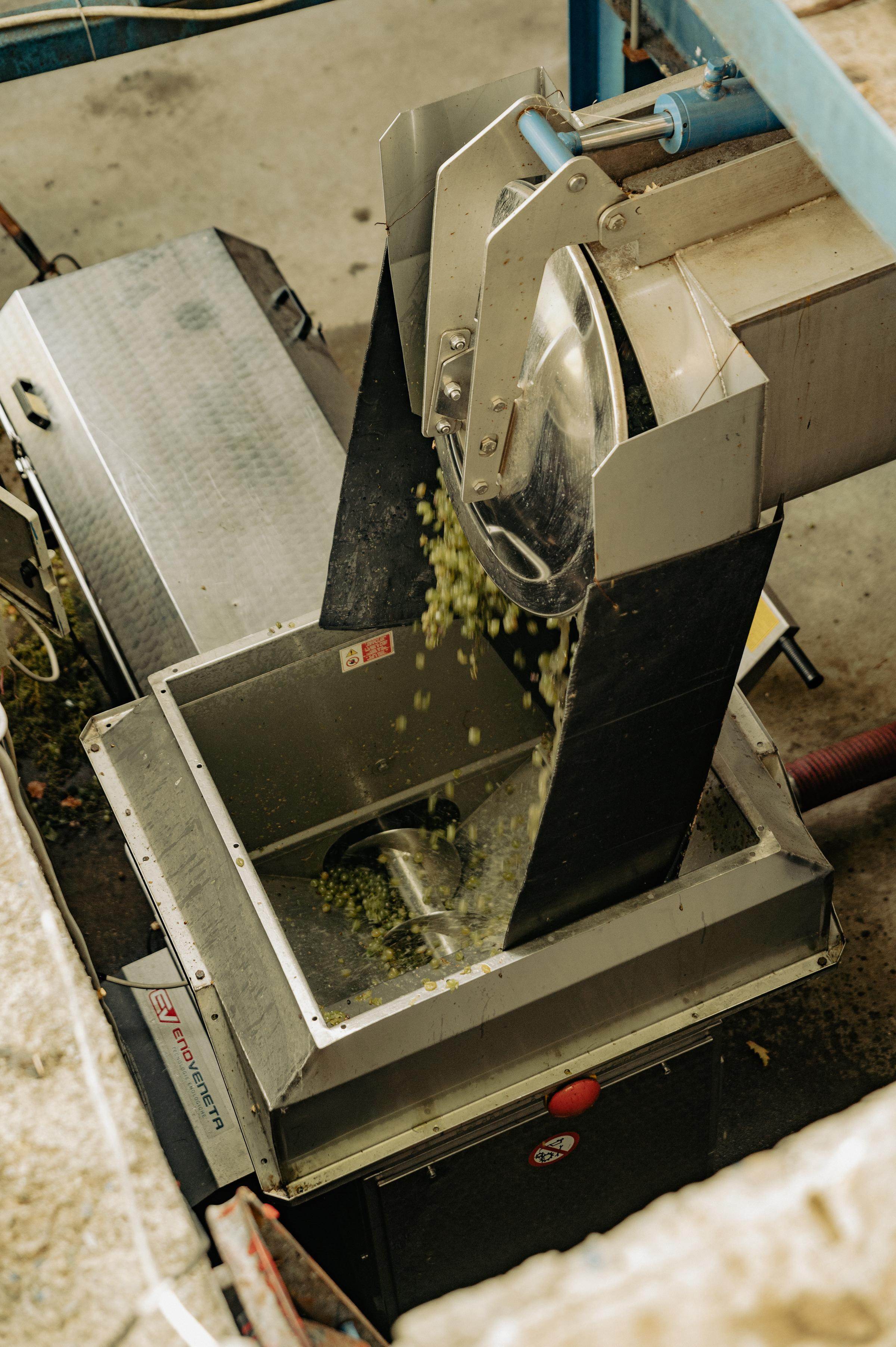 RTKVELLI. Фотограф в Тбилиси. Портрет, репортаж, эвент. Геннадий Демченко