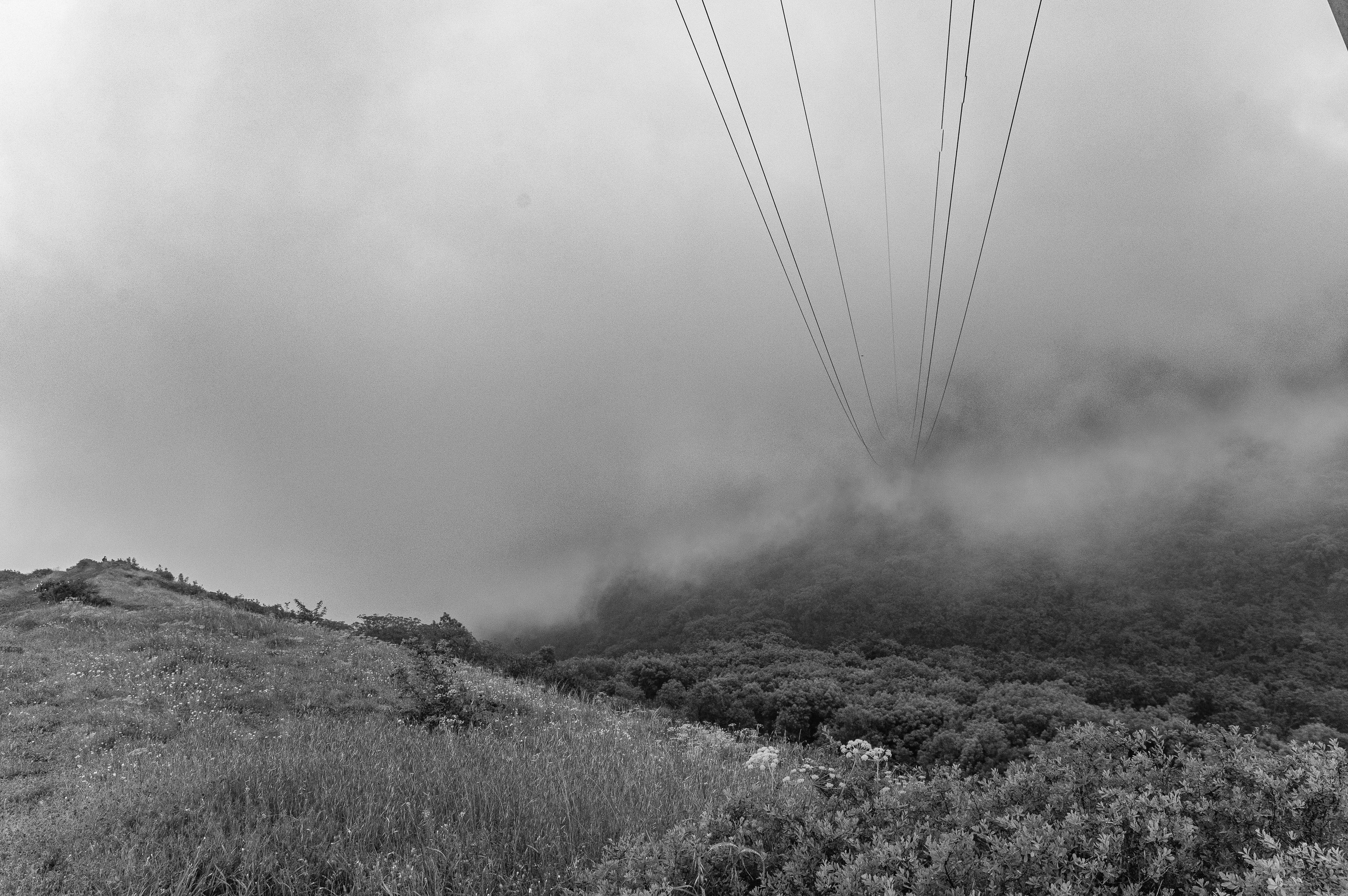 Nuvo Departe. Фотограф в Тбилиси. Портрет, репортаж, эвент. Геннадий Демченко