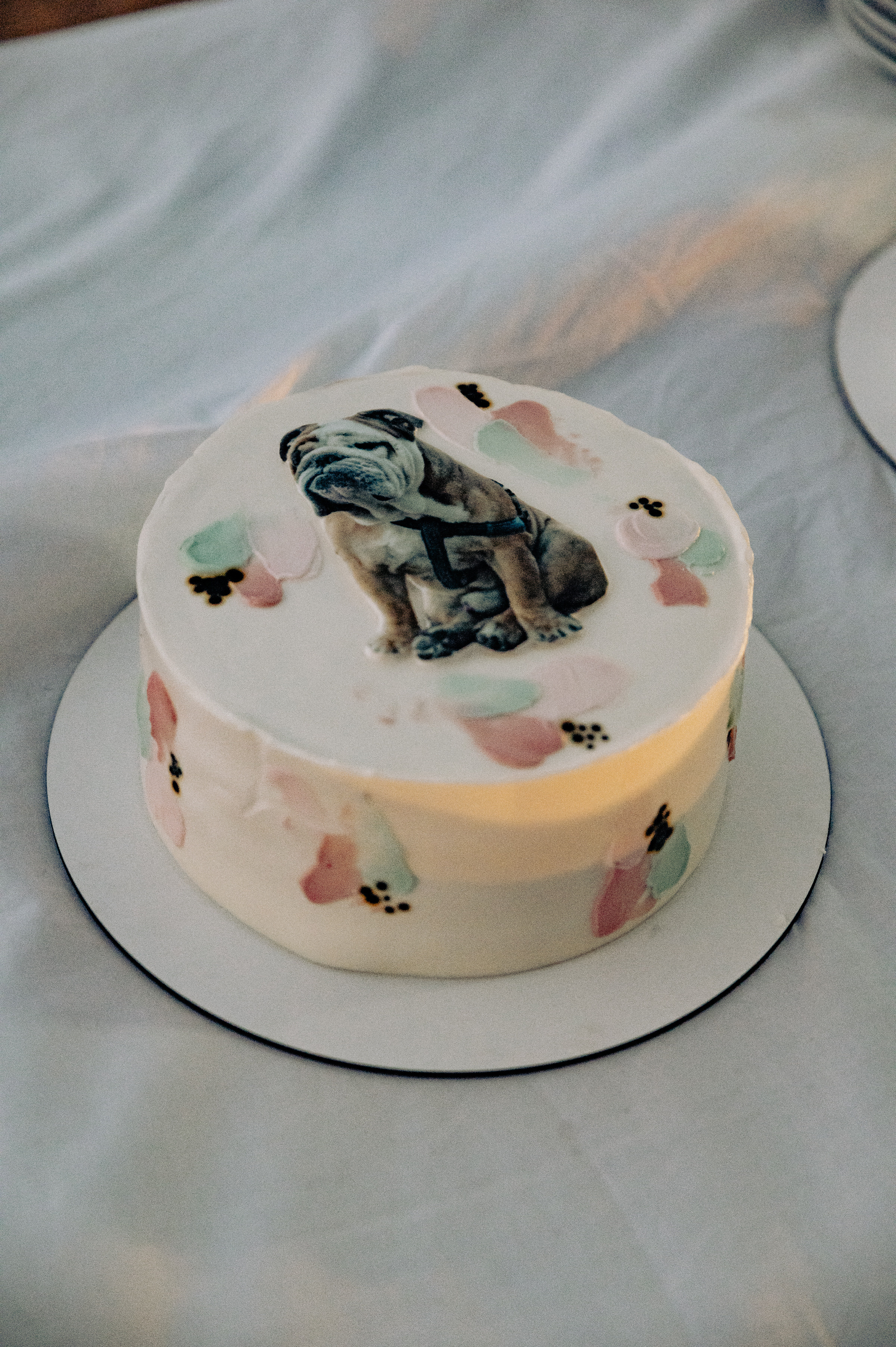 Olya & Boltyan. Фотограф в Тбилиси. Портрет, репортаж, эвент. Геннадий Демченко