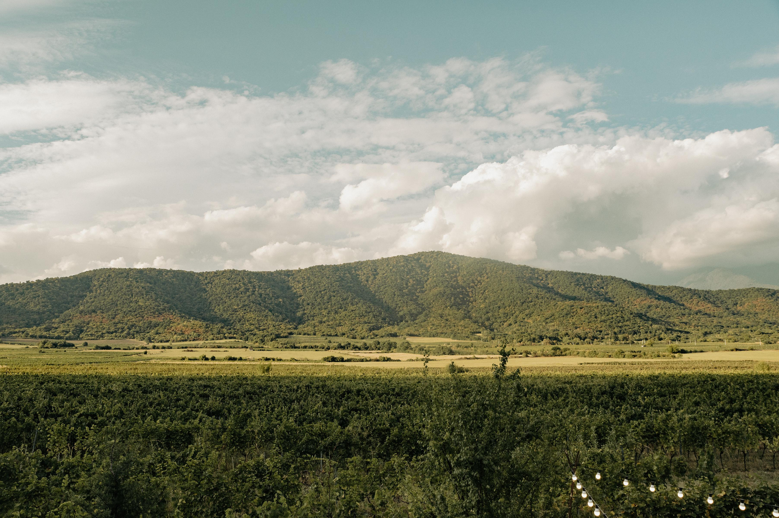 RTKVELLI. Фотограф в Тбилиси. Портрет, репортаж, эвент. Геннадий Демченко