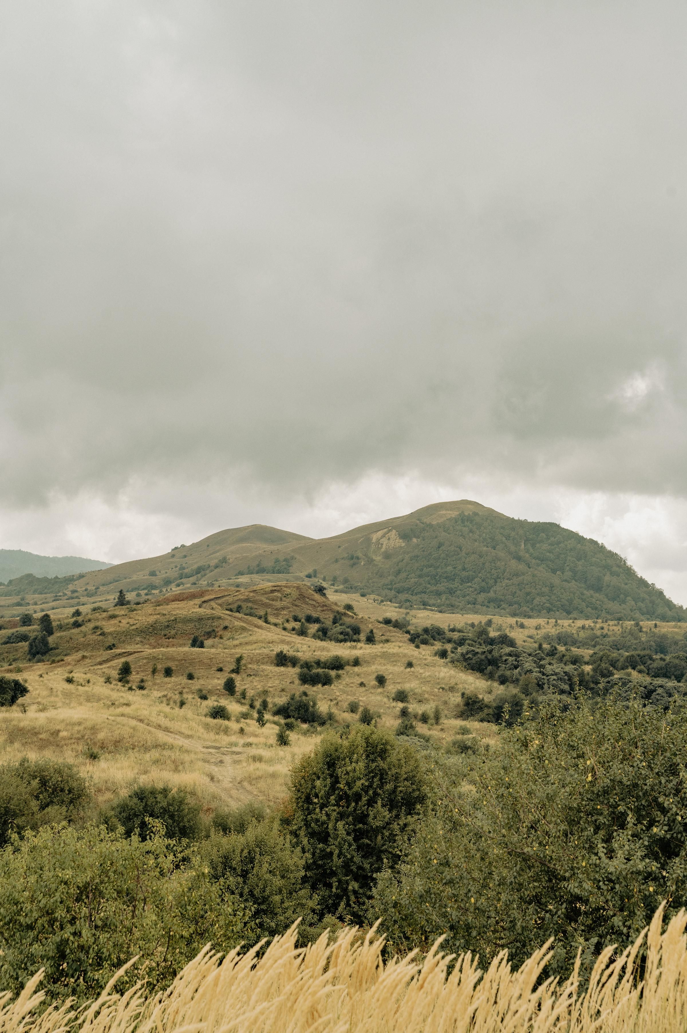 RTKVELLI. Фотограф в Тбилиси. Портрет, репортаж, эвент. Геннадий Демченко