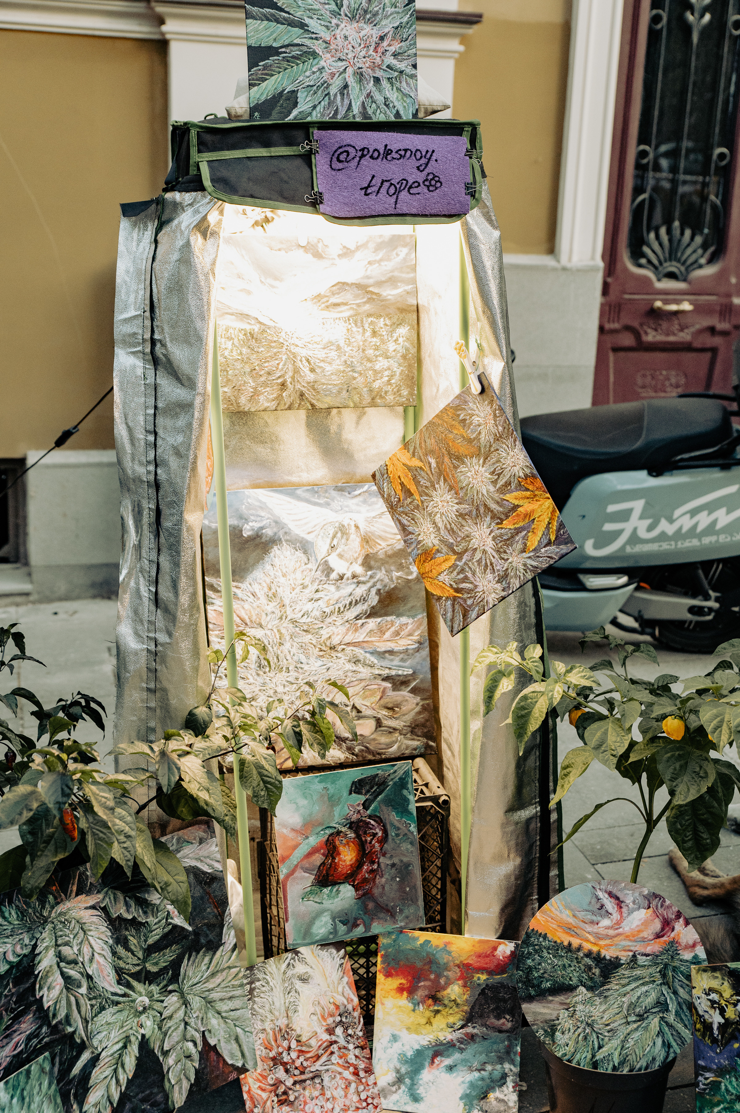 Dreamlanka market. Portrait and reportage photographer