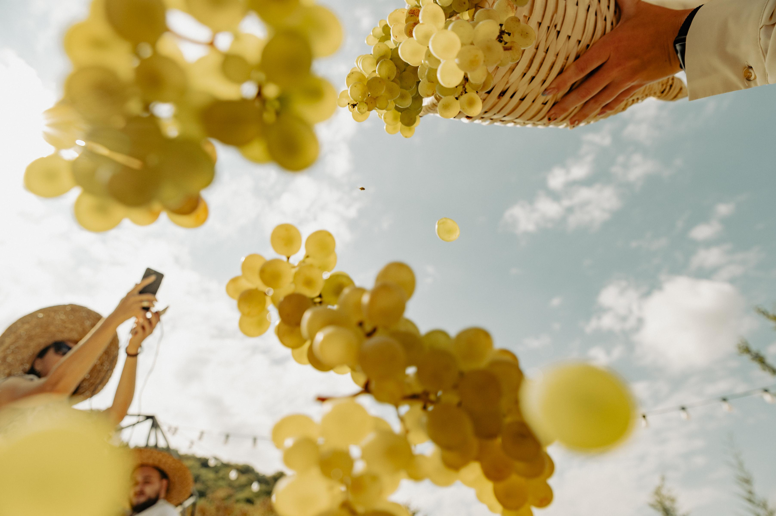 RTKVELLI. Фотограф в Тбилиси. Портрет, репортаж, эвент. Геннадий Демченко