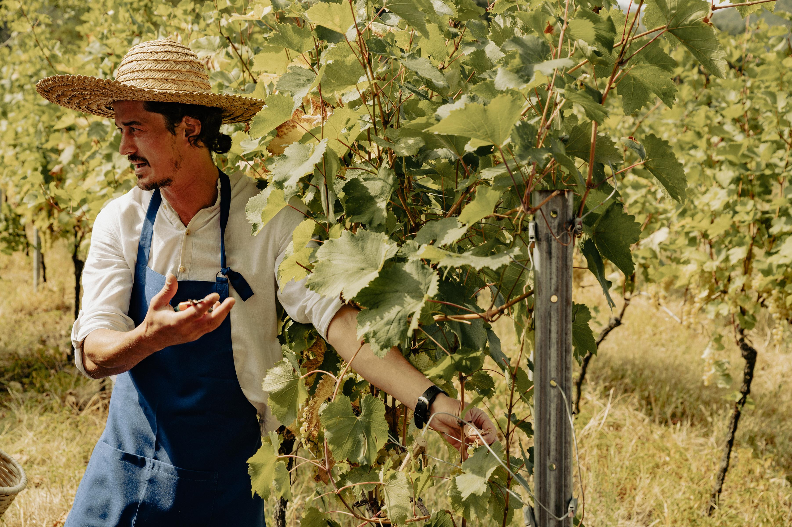 RTKVELLI. Фотограф в Тбилиси. Портрет, репортаж, эвент. Геннадий Демченко