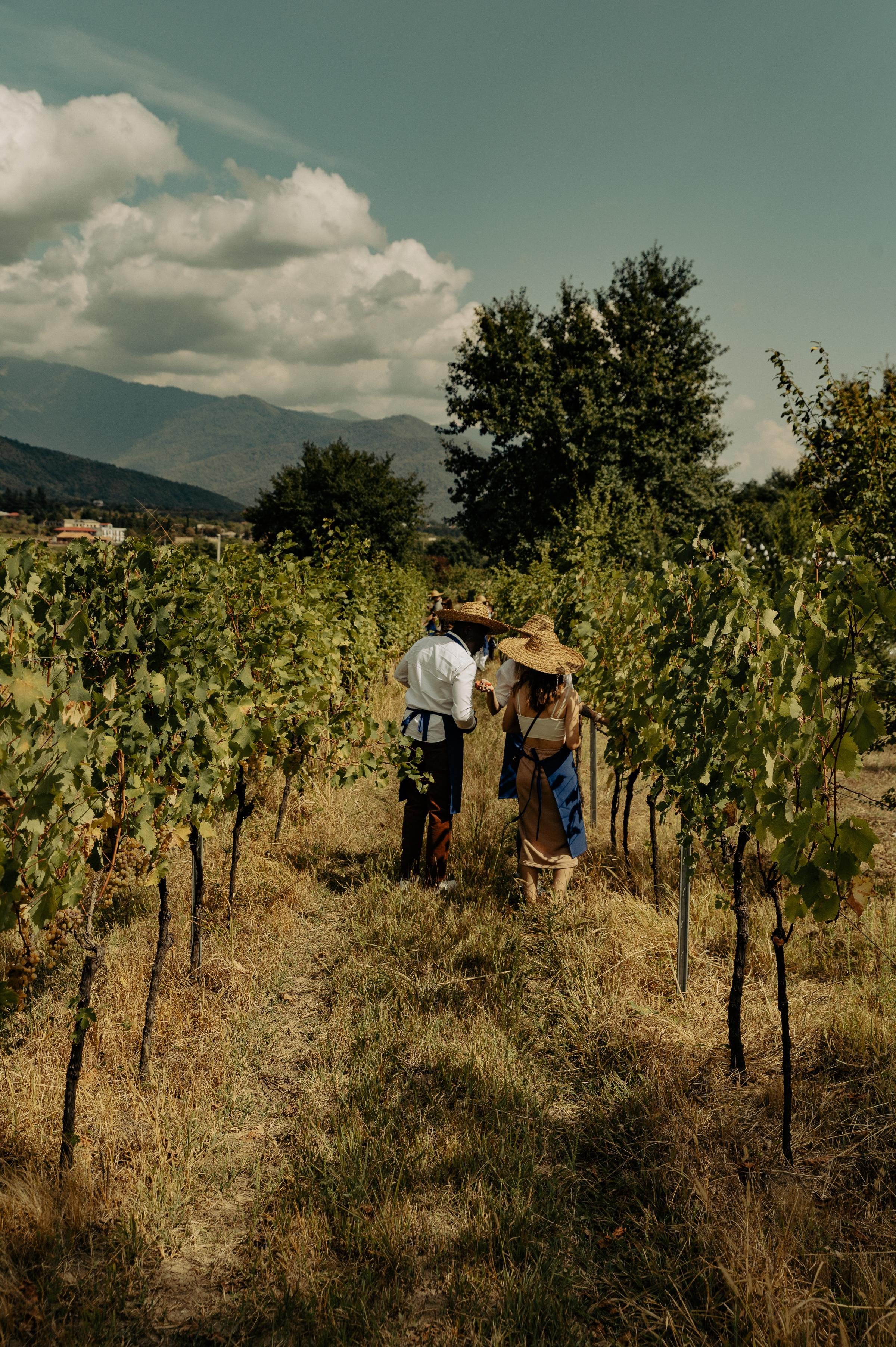 RTKVELLI. Фотограф в Тбилиси. Портрет, репортаж, эвент. Геннадий Демченко