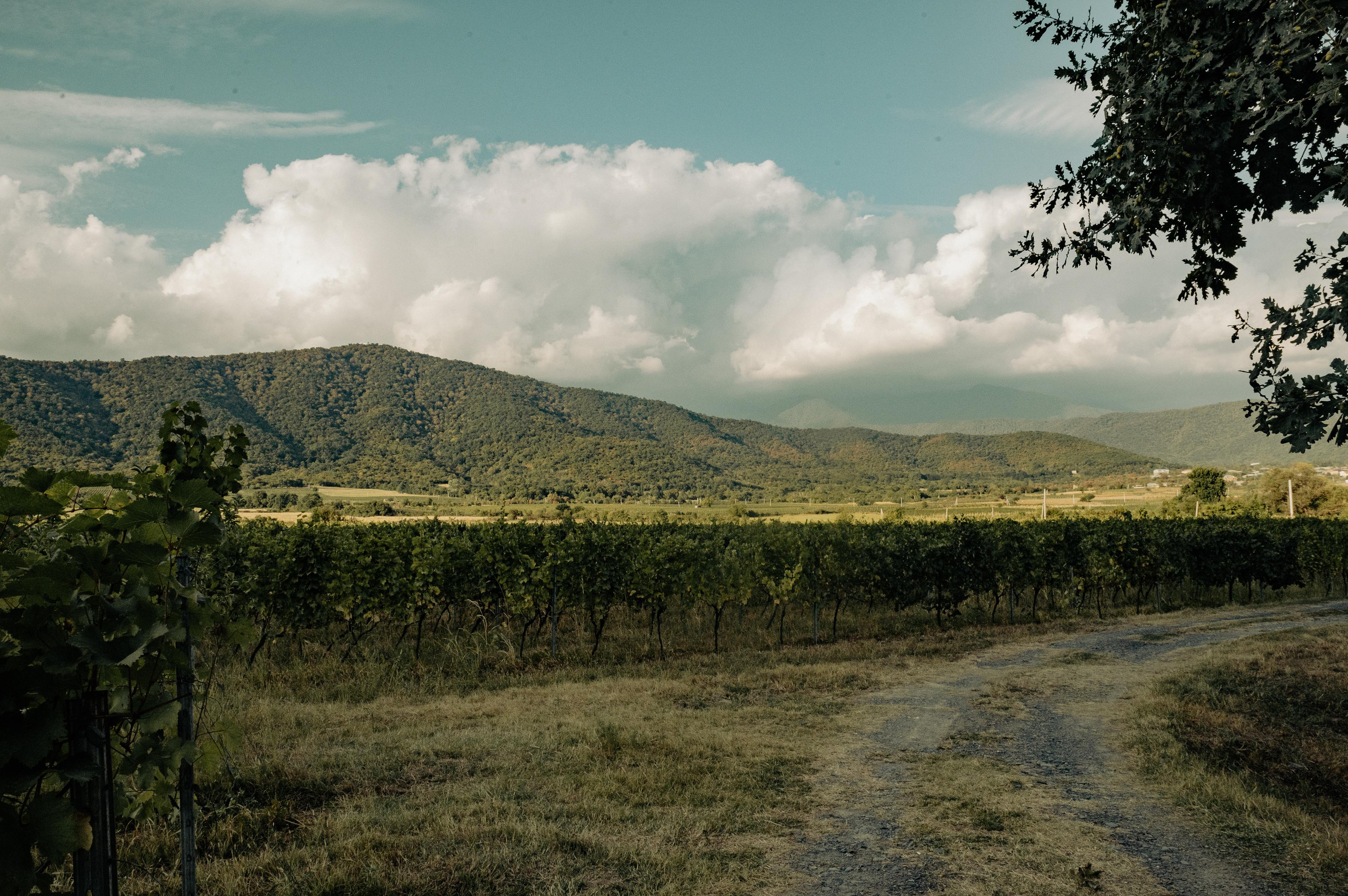 RTKVELLI. Фотограф в Тбилиси. Портрет, репортаж, эвент. Геннадий Демченко