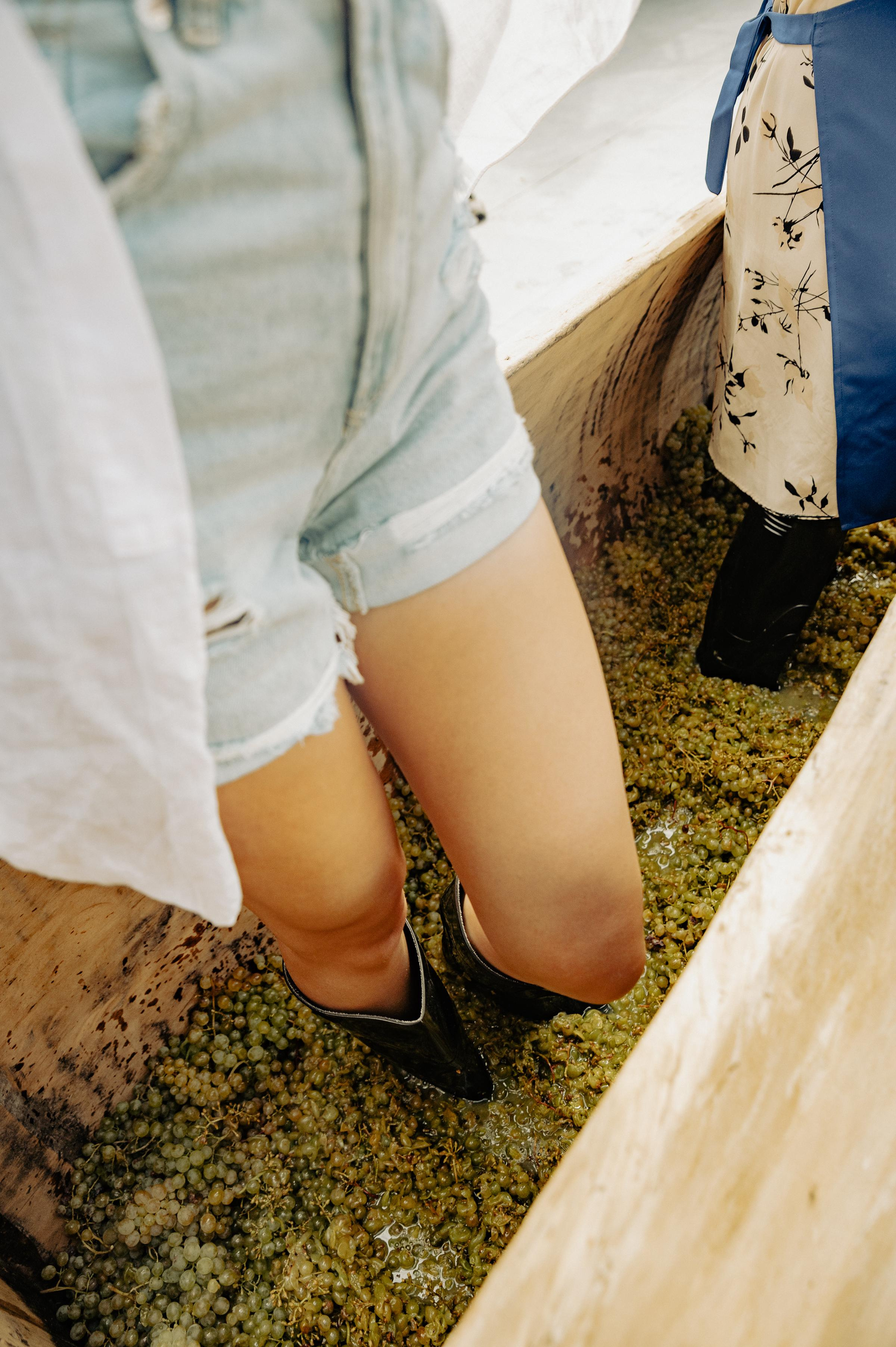 RTKVELLI. Фотограф в Тбилиси. Портрет, репортаж, эвент. Геннадий Демченко