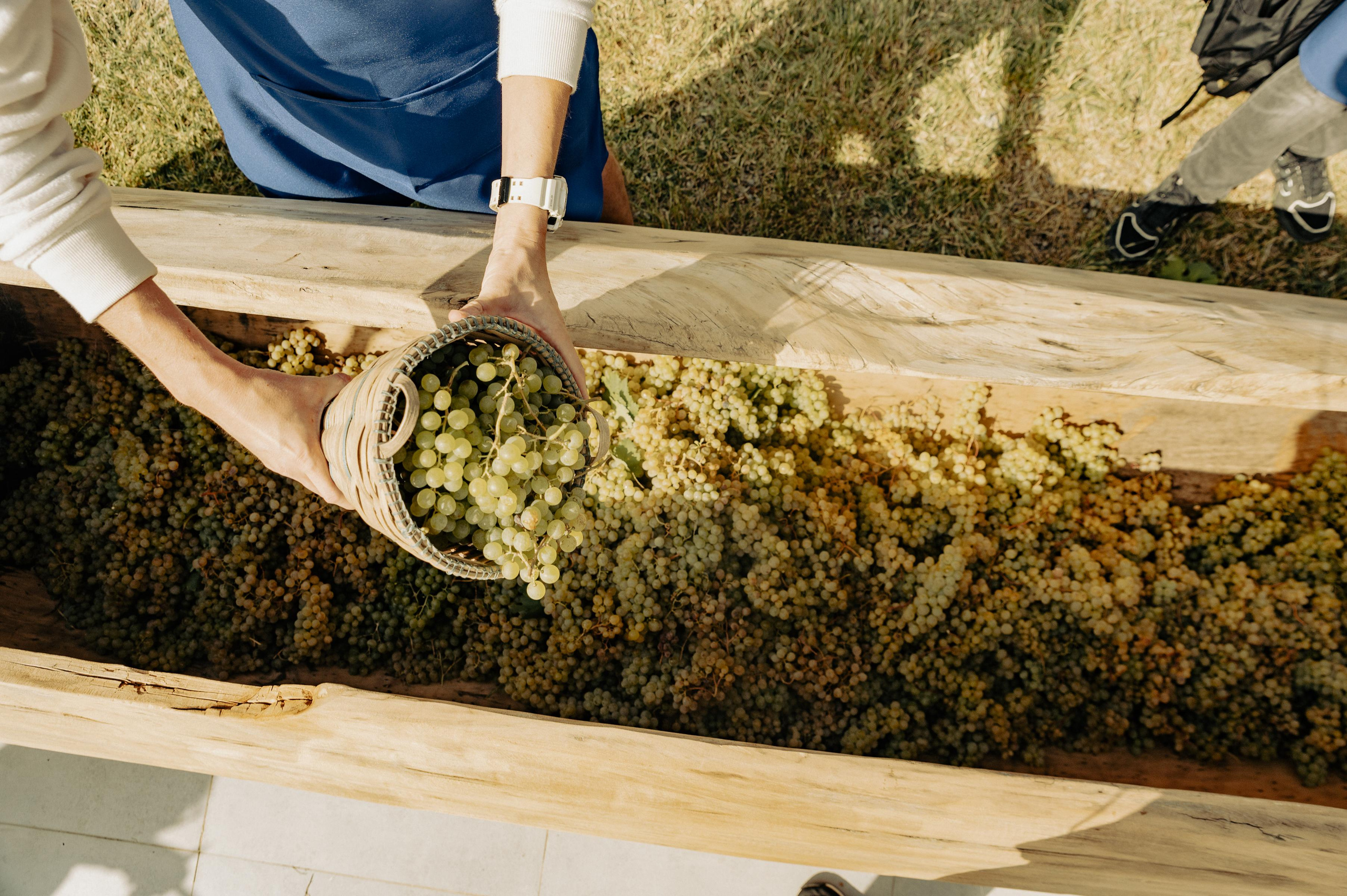 RTKVELLI. Фотограф в Тбилиси. Портрет, репортаж, эвент. Геннадий Демченко