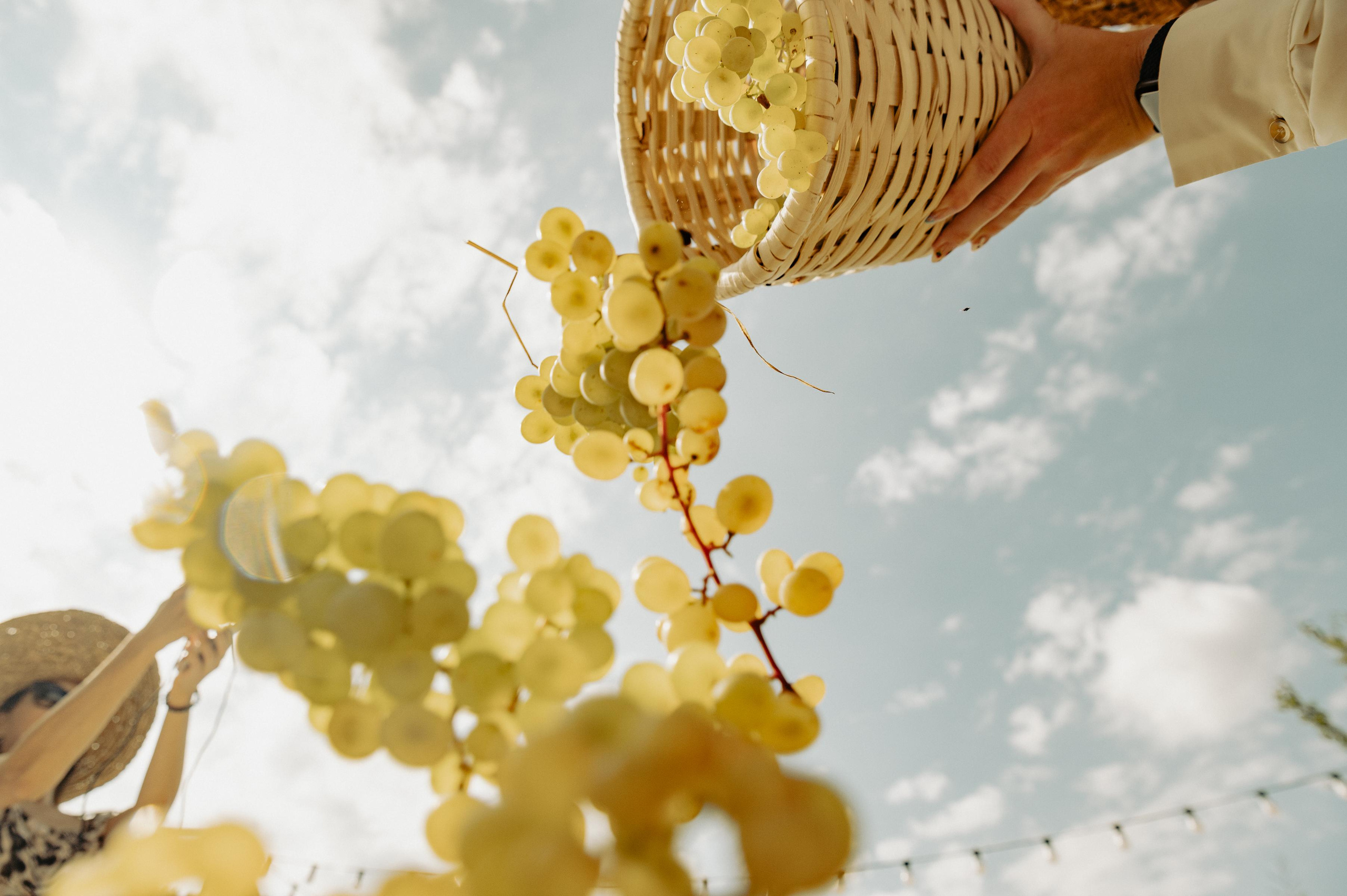 RTKVELLI. Фотограф в Тбилиси. Портрет, репортаж, эвент. Геннадий Демченко