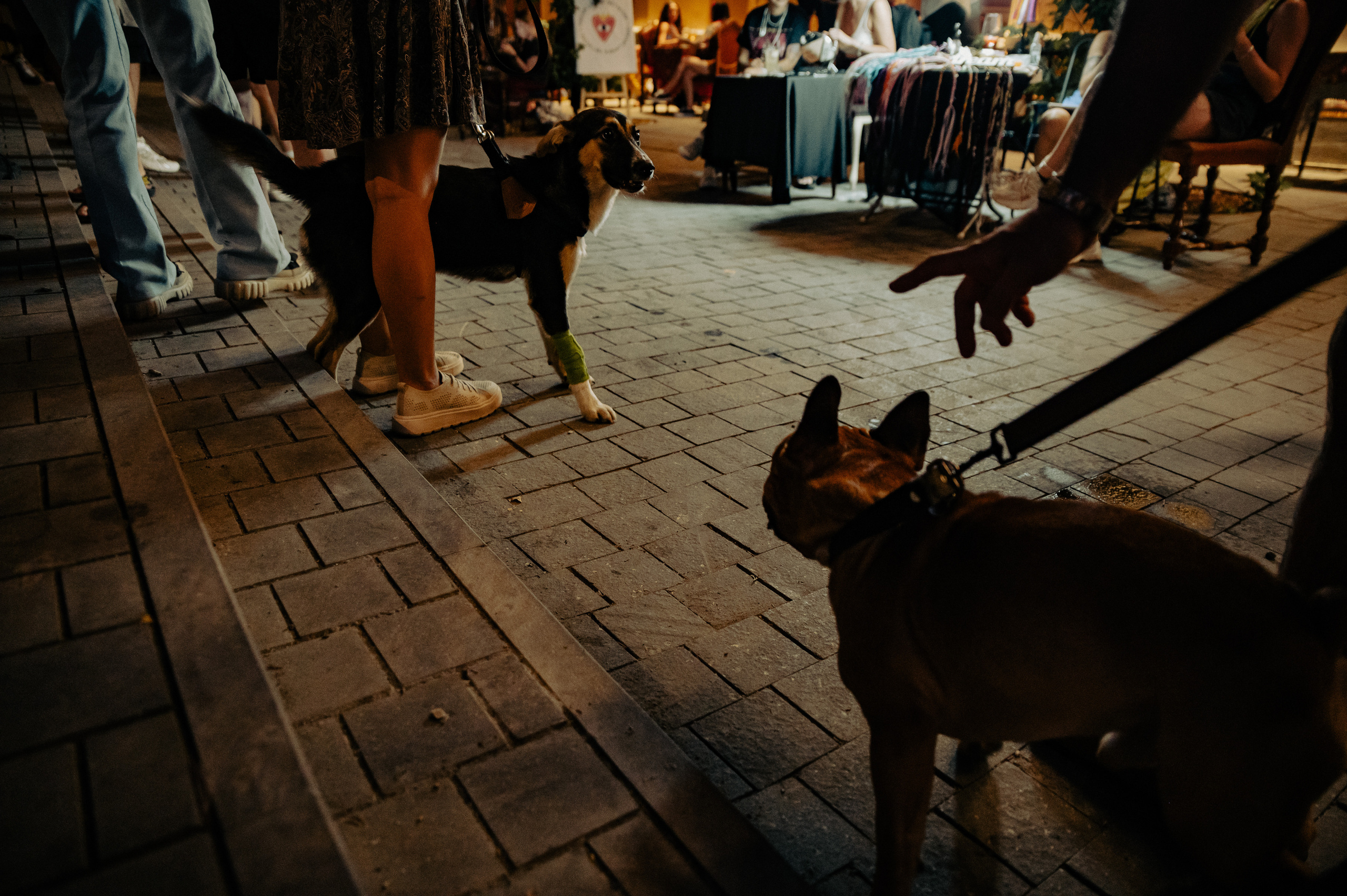 Dreamlanka market. Portrait and reportage photographer