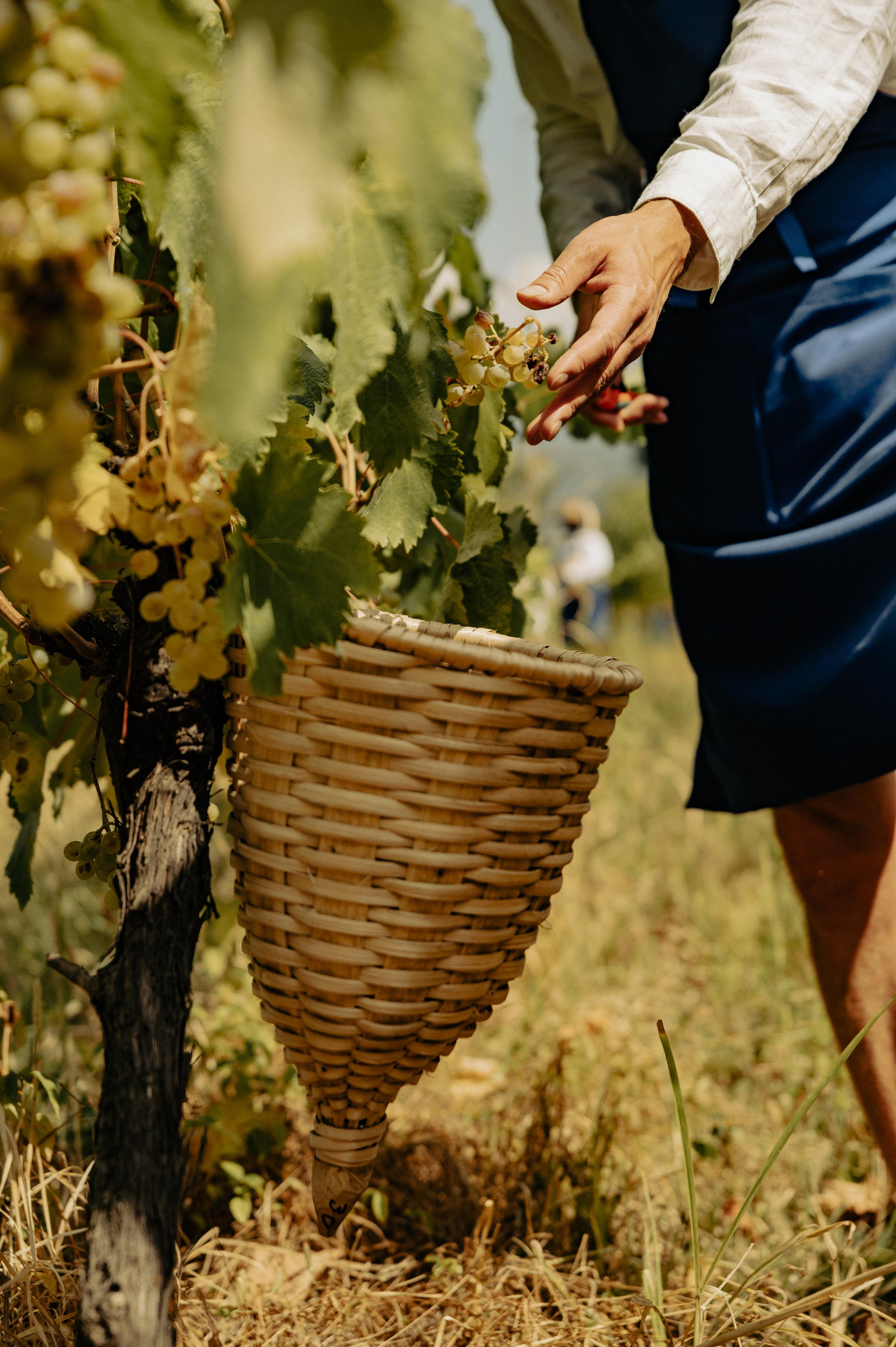RTKVELLI. Фотограф в Тбилиси. Портрет, репортаж, эвент. Геннадий Демченко