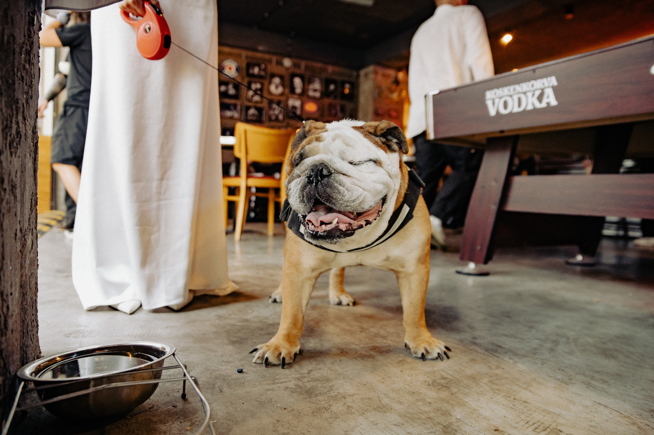 Olya & Boltyan. Фотограф в Тбилиси. Портрет, репортаж, эвент. Геннадий Демченко