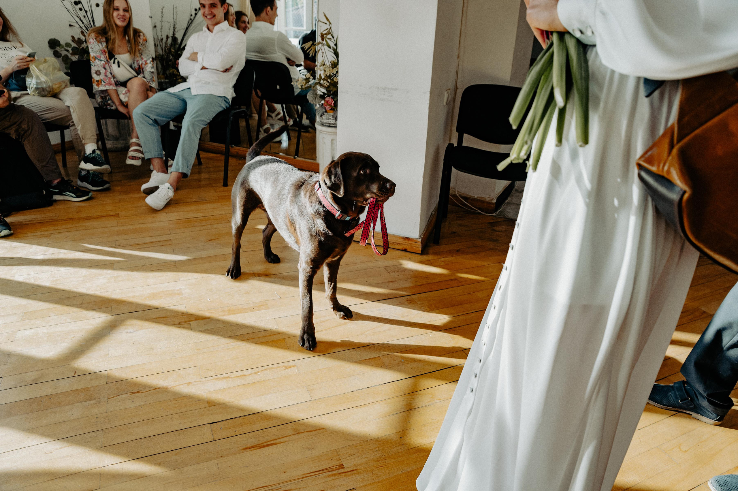 Ksusha & Garik. Фотограф в Тбилиси. Портрет, репортаж, эвент. Геннадий Демченко