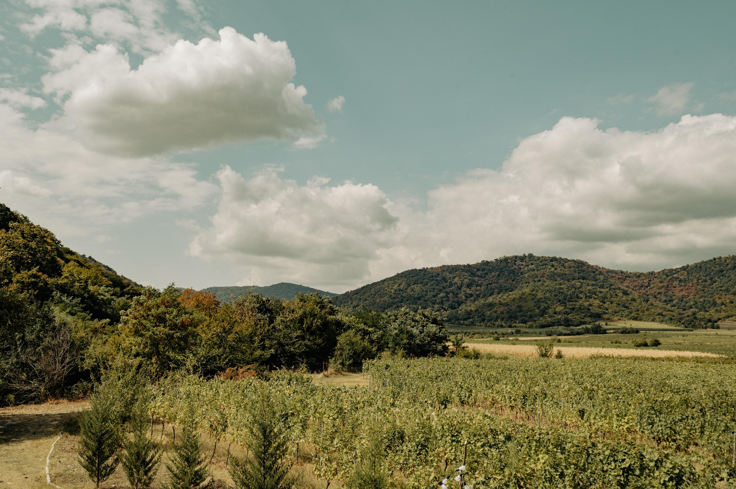 RTKVELLI. Фотограф в Тбилиси. Портрет, репортаж, эвент. Геннадий Демченко
