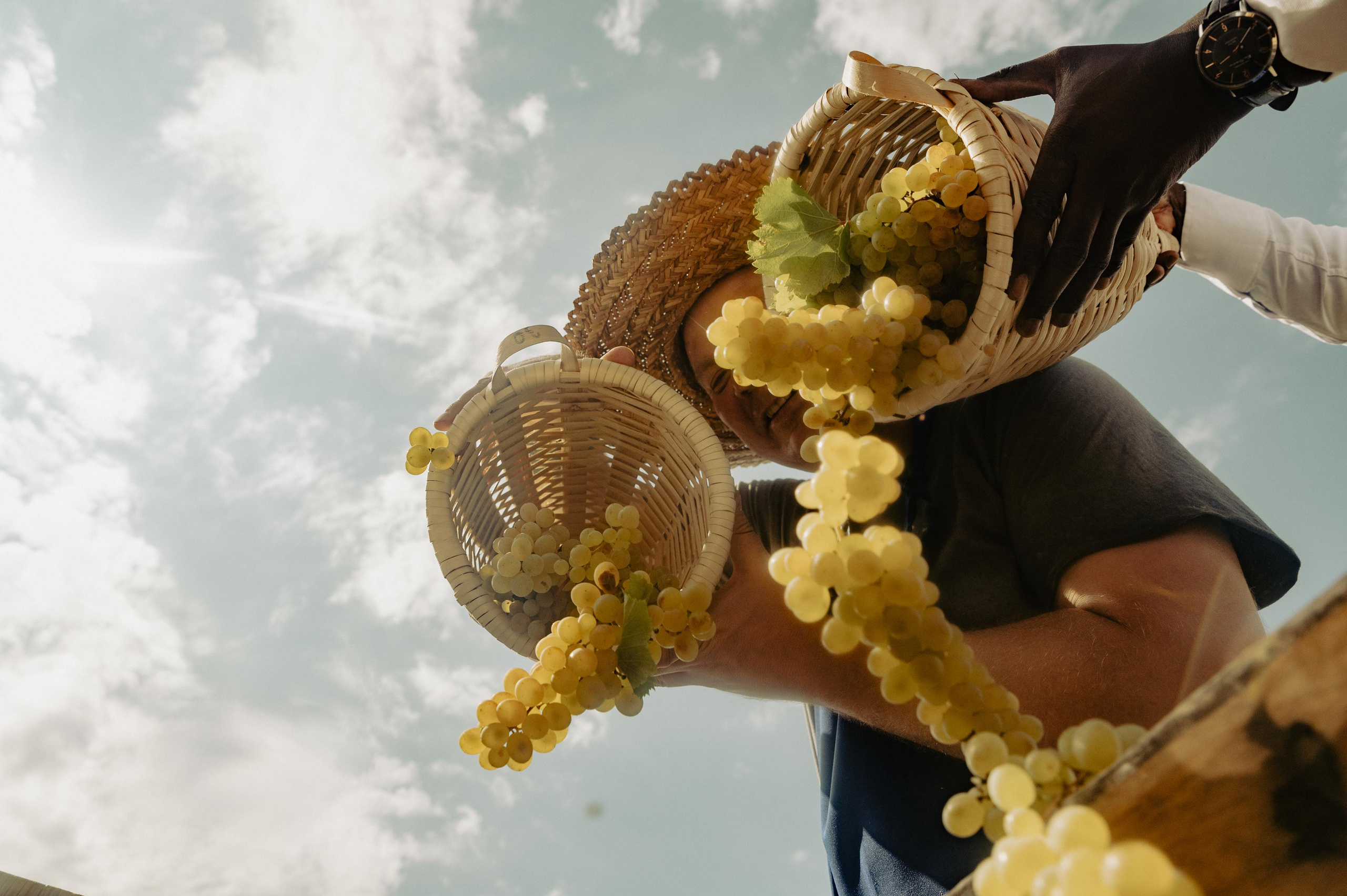 RTKVELLI. Фотограф в Тбилиси. Портрет, репортаж, эвент. Геннадий Демченко