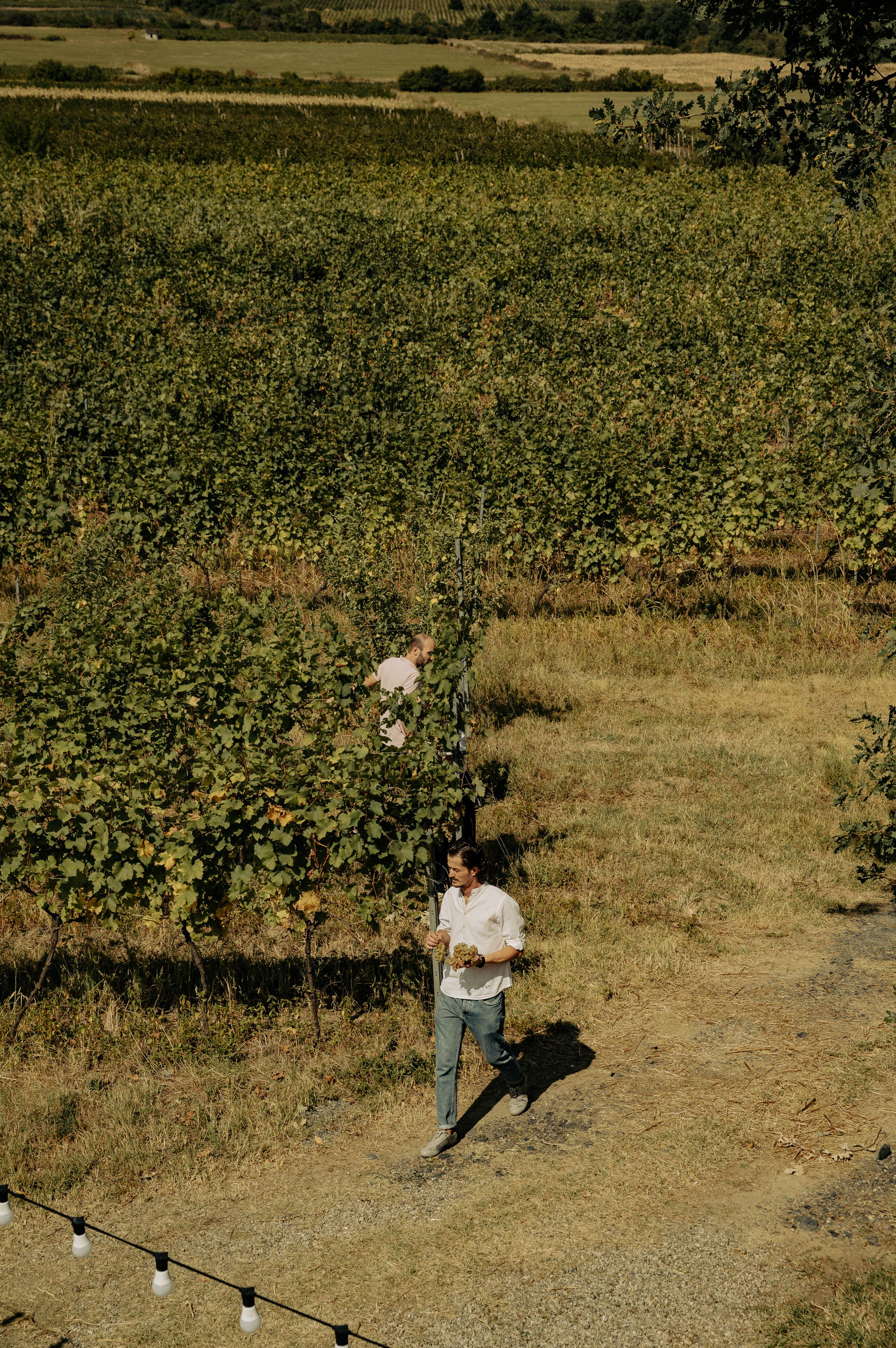 RTKVELLI. Фотограф в Тбилиси. Портрет, репортаж, эвент. Геннадий Демченко