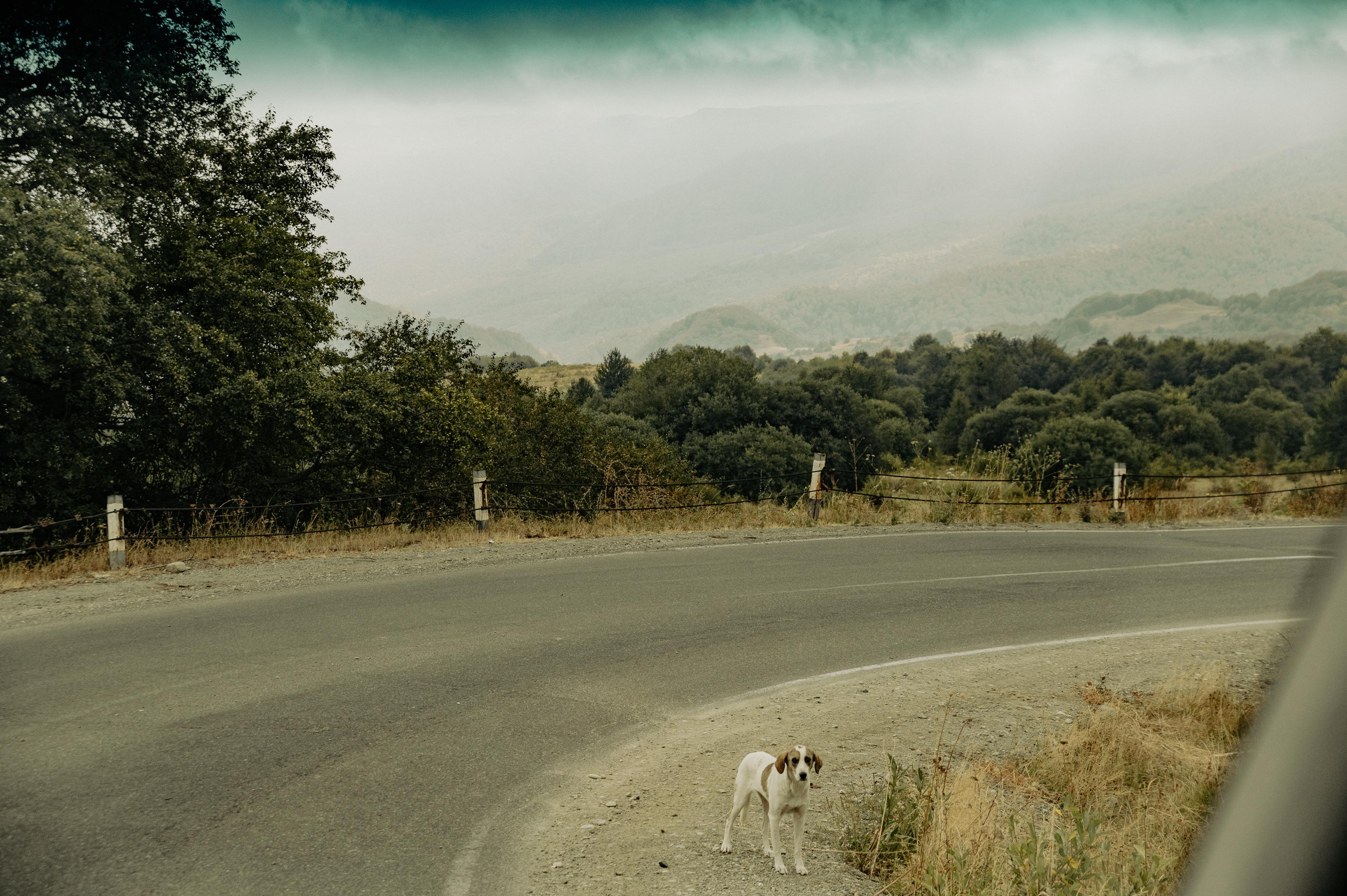 RTKVELLI. Фотограф в Тбилиси. Портрет, репортаж, эвент. Геннадий Демченко