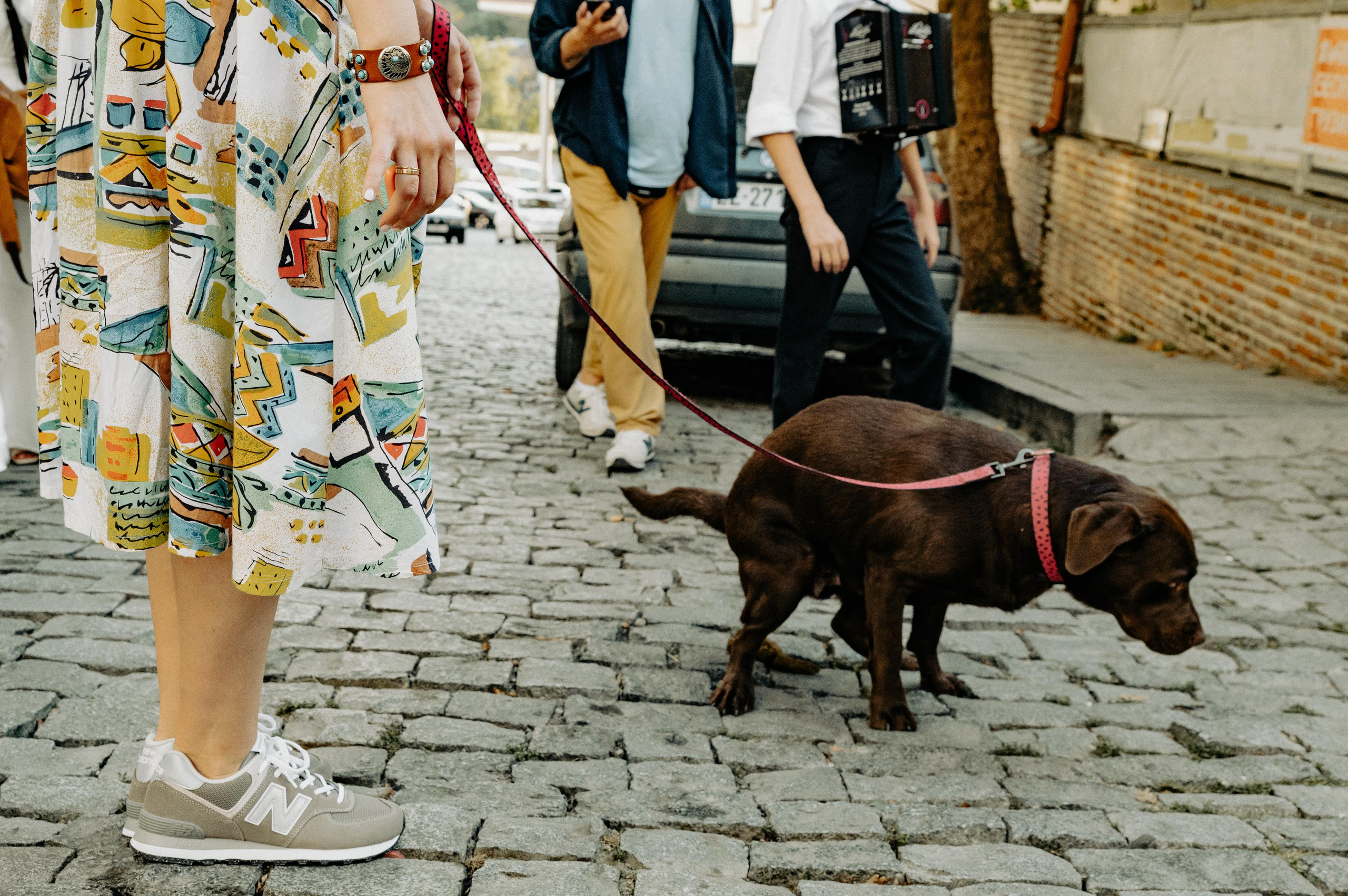 Ksusha & Garik. Фотограф в Тбилиси. Портрет, репортаж, эвент. Геннадий Демченко