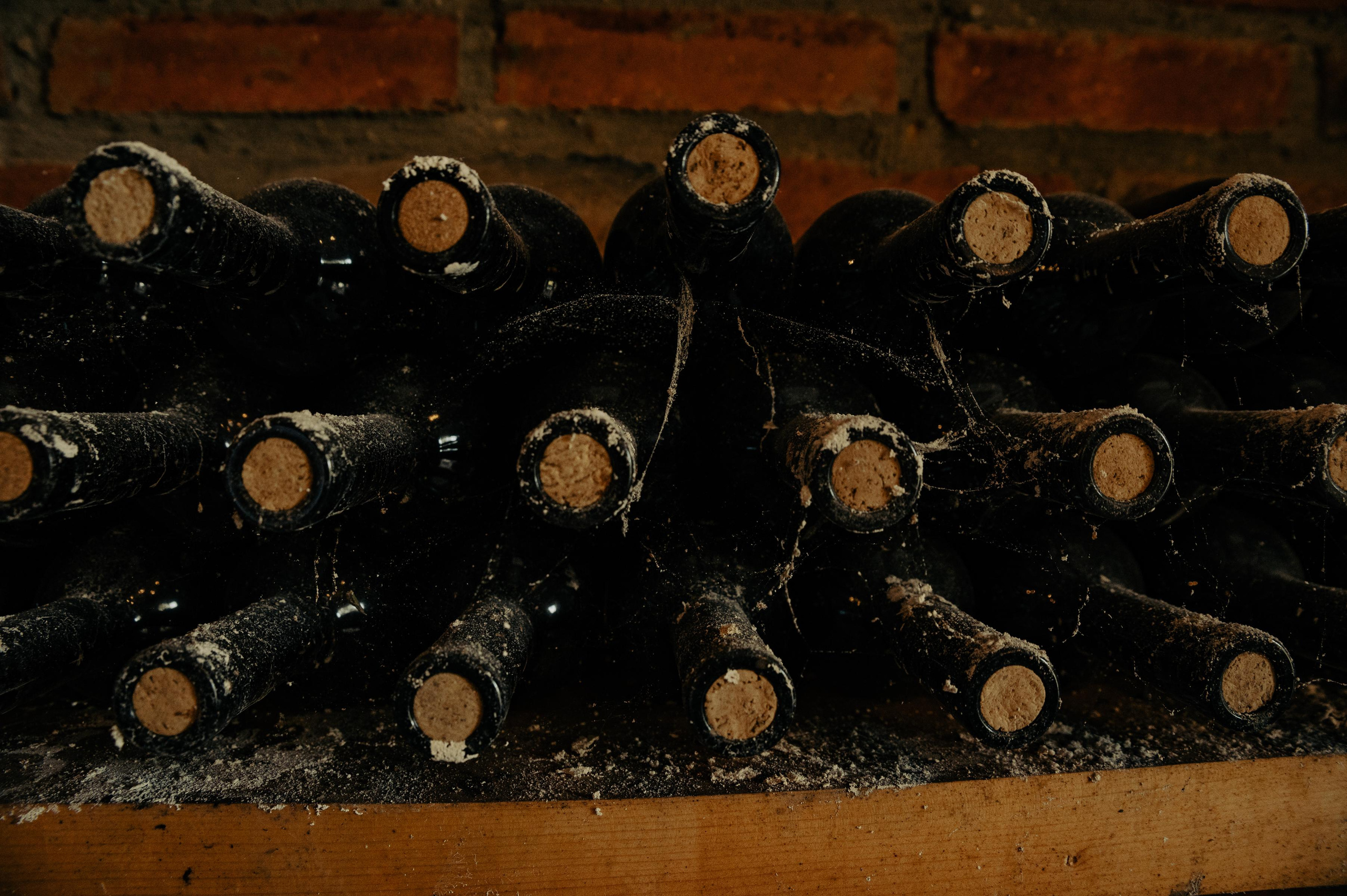 RTKVELLI. Фотограф в Тбилиси. Портрет, репортаж, эвент. Геннадий Демченко