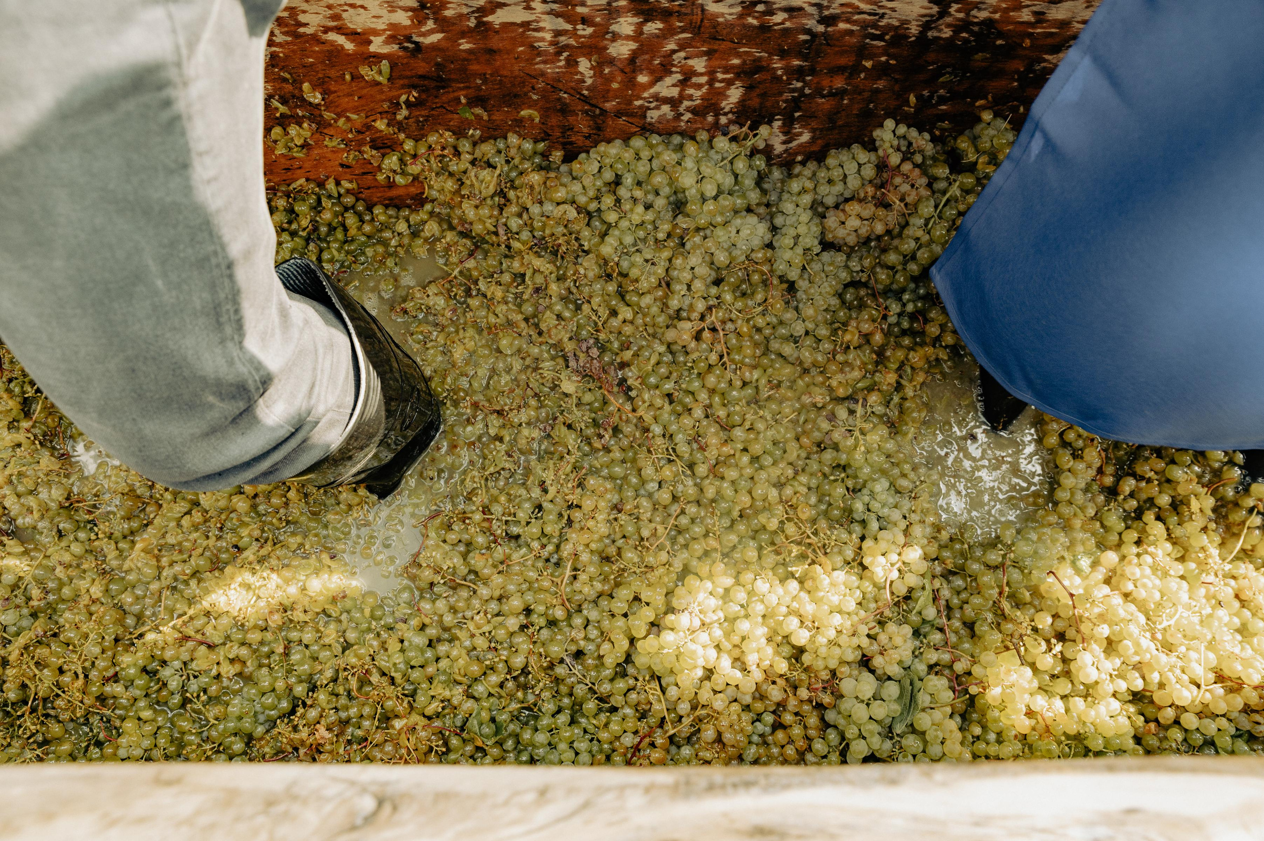 RTKVELLI. Фотограф в Тбилиси. Портрет, репортаж, эвент. Геннадий Демченко