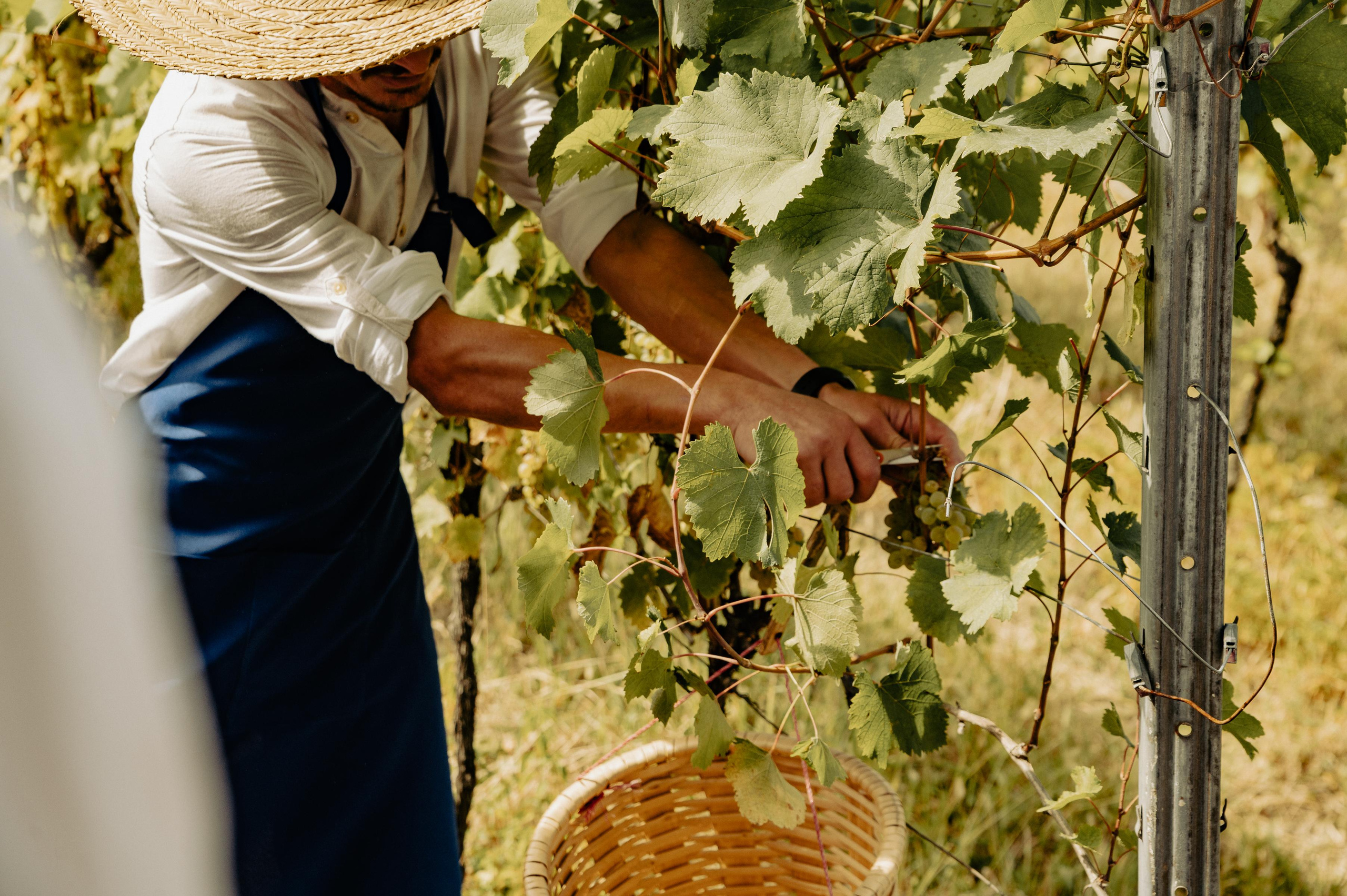 RTKVELLI. Фотограф в Тбилиси. Портрет, репортаж, эвент. Геннадий Демченко