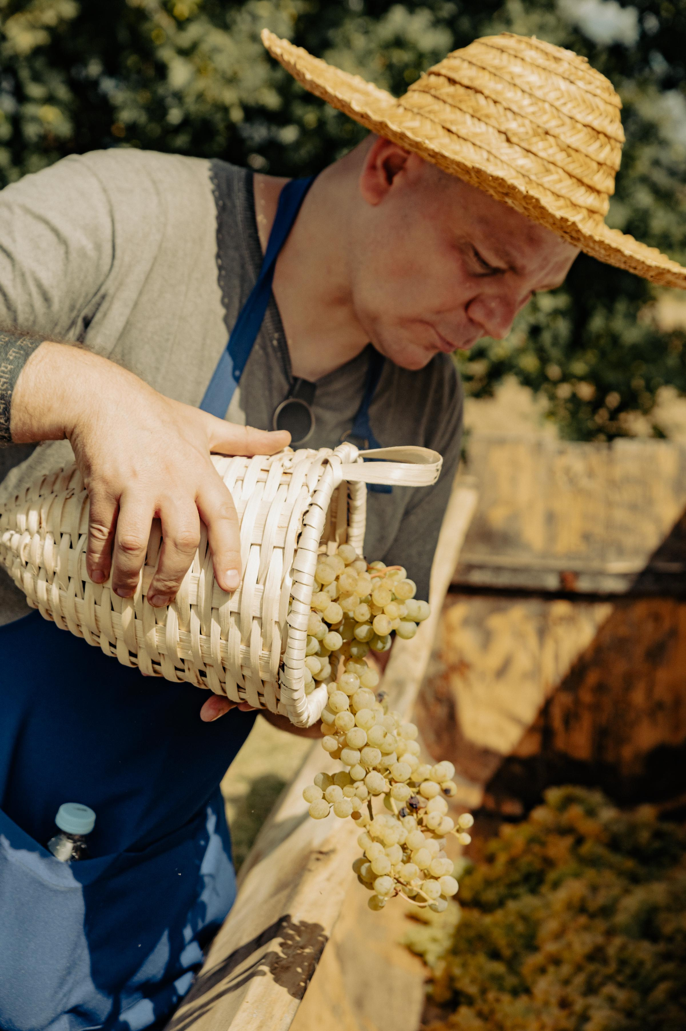 RTKVELLI. Фотограф в Тбилиси. Портрет, репортаж, эвент. Геннадий Демченко