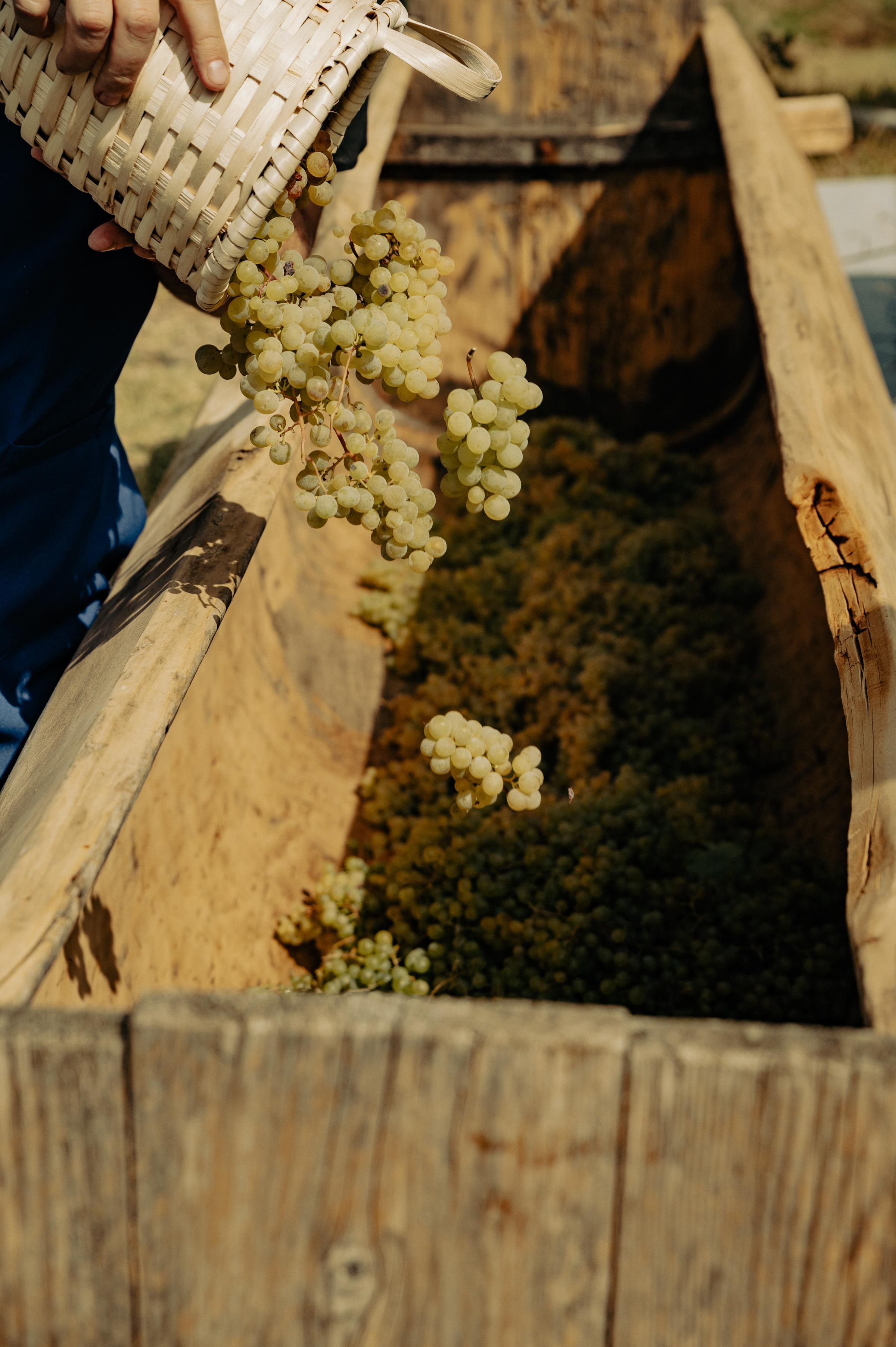 RTKVELLI. Фотограф в Тбилиси. Портрет, репортаж, эвент. Геннадий Демченко