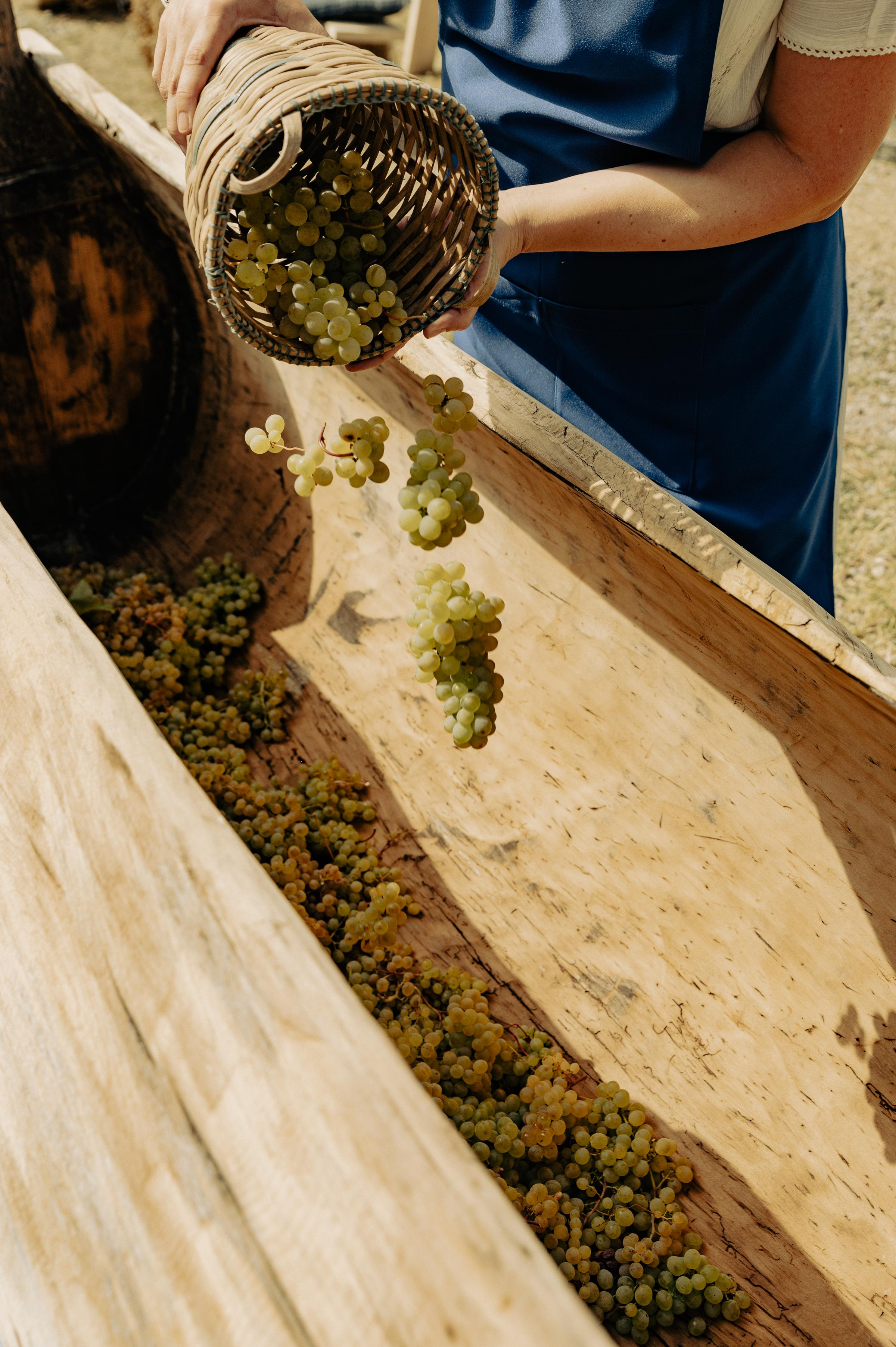 RTKVELLI. Фотограф в Тбилиси. Портрет, репортаж, эвент. Геннадий Демченко