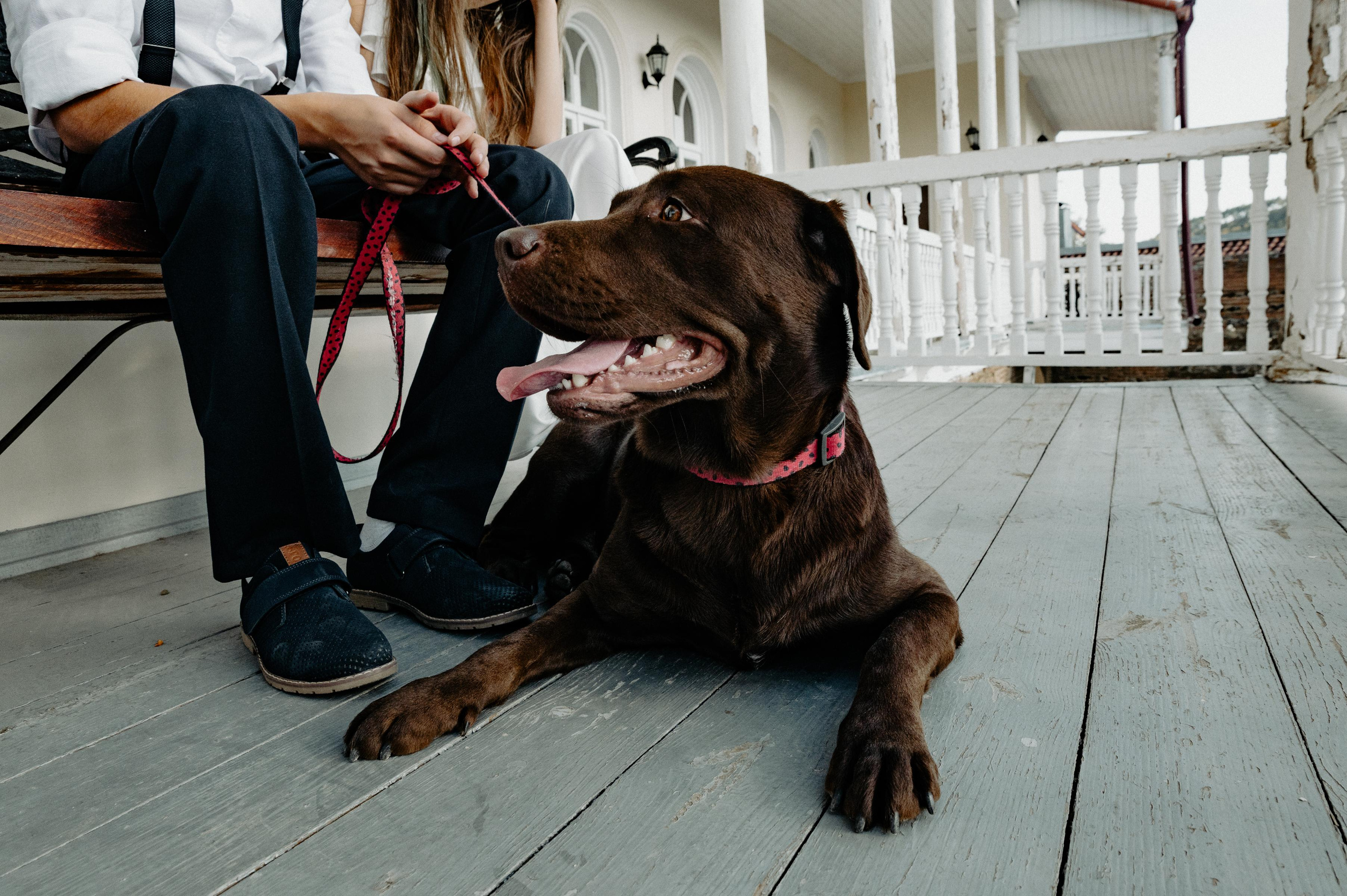Ksusha & Garik. Фотограф в Тбилиси. Портрет, репортаж, эвент. Геннадий Демченко
