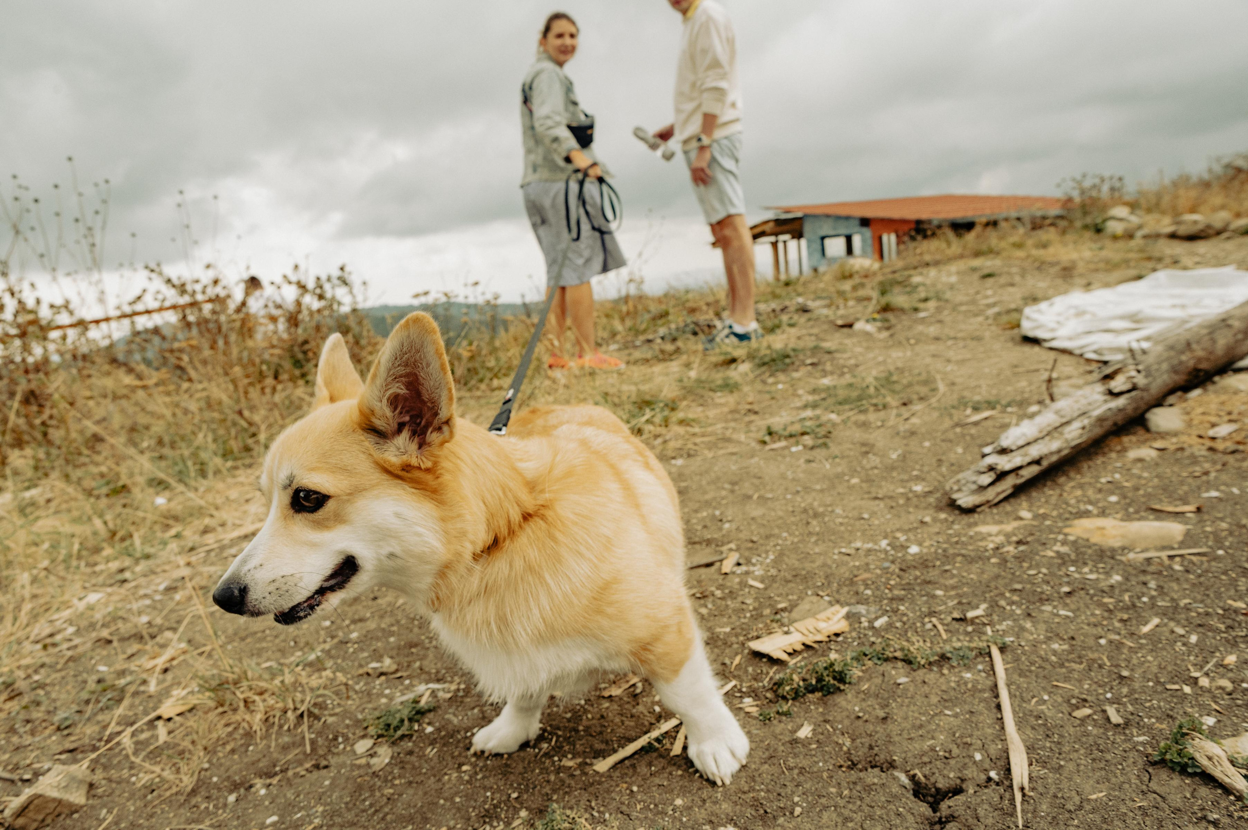 RTKVELLI. Фотограф в Тбилиси. Портрет, репортаж, эвент. Геннадий Демченко