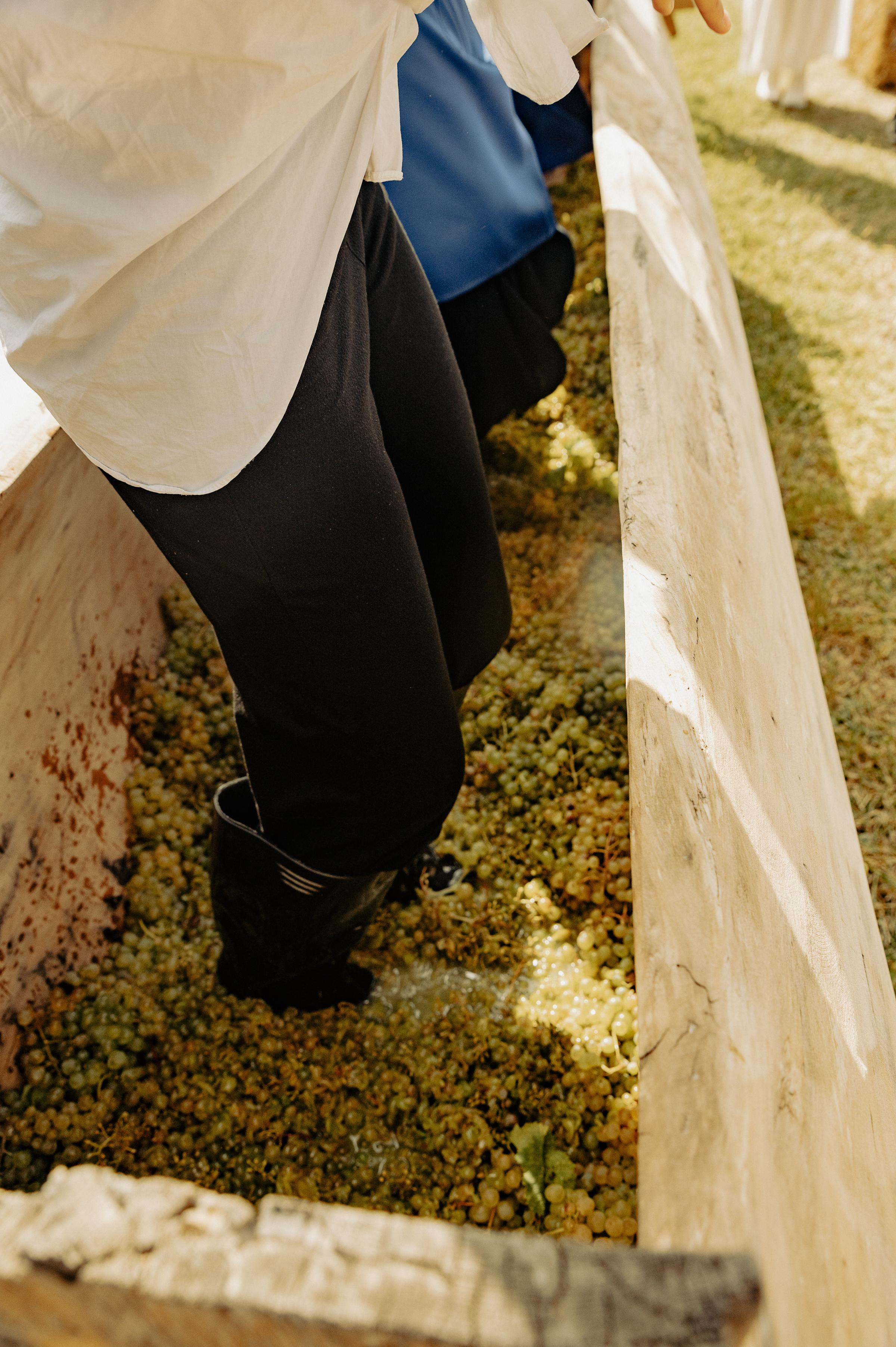 RTKVELLI. Фотограф в Тбилиси. Портрет, репортаж, эвент. Геннадий Демченко