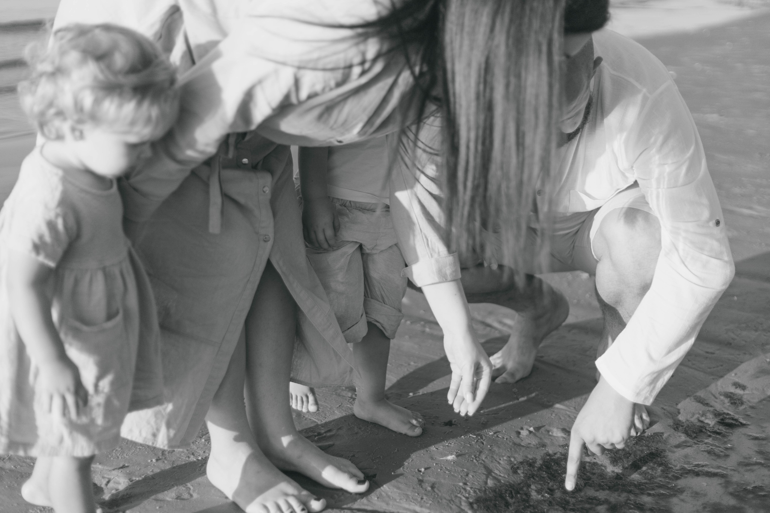 DIĀNAS ģimene. GALVENĀ