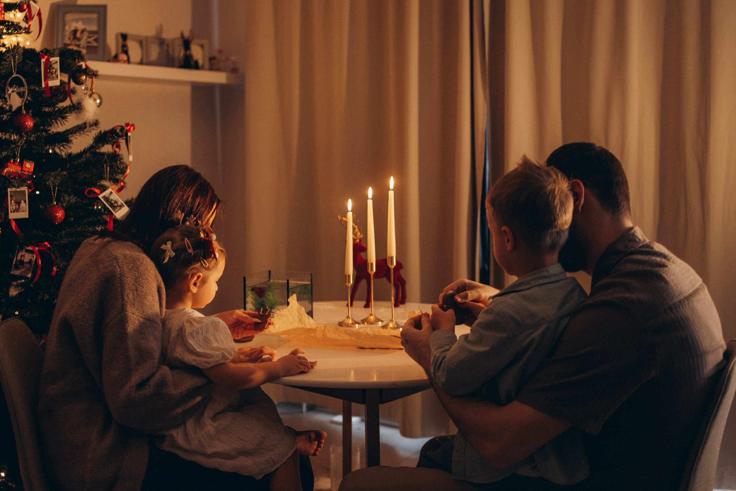 LANAS ģimene. GALVENĀ