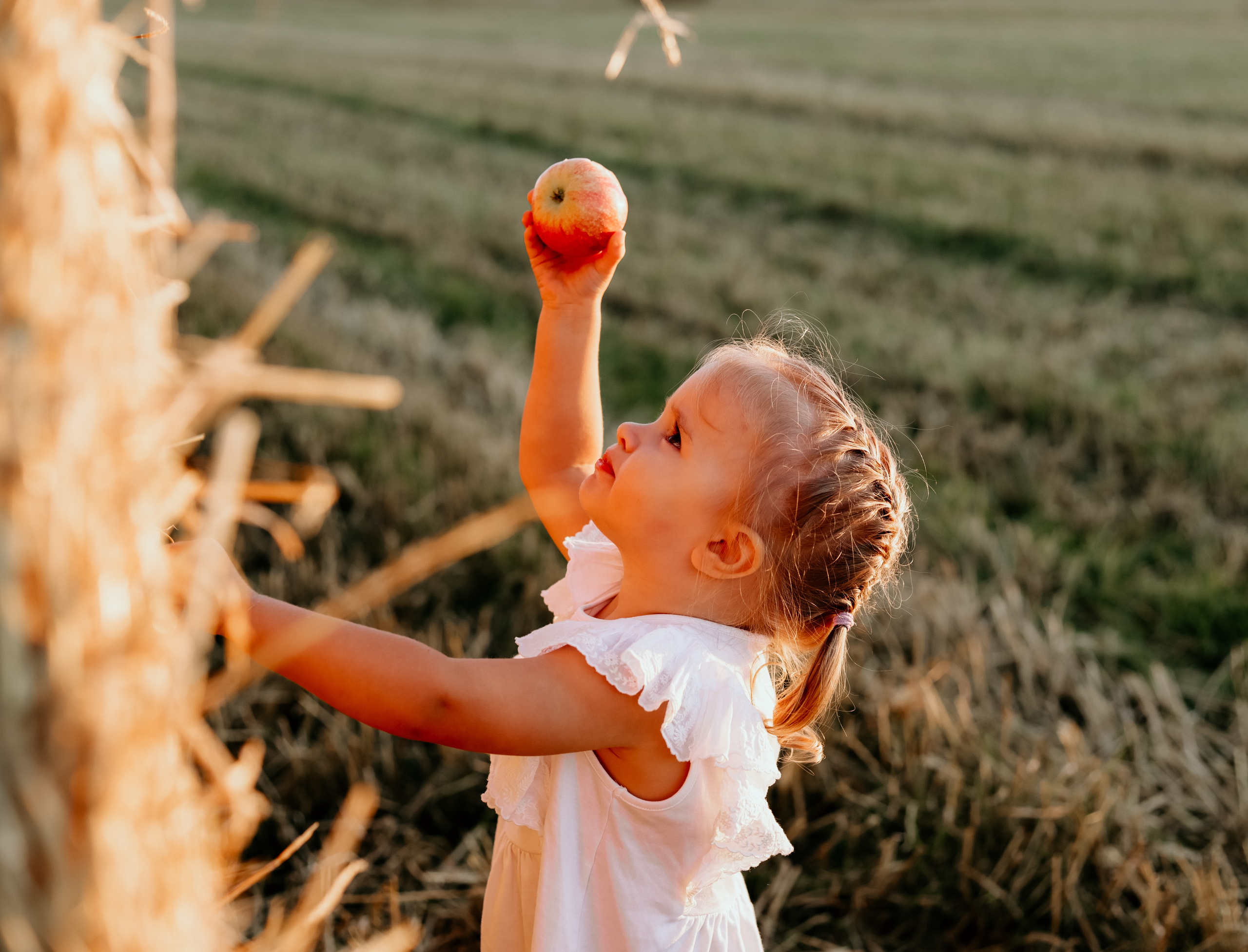 Last Summer days. Photographer Co Dublin, Balbriggan — Agata Maliseva