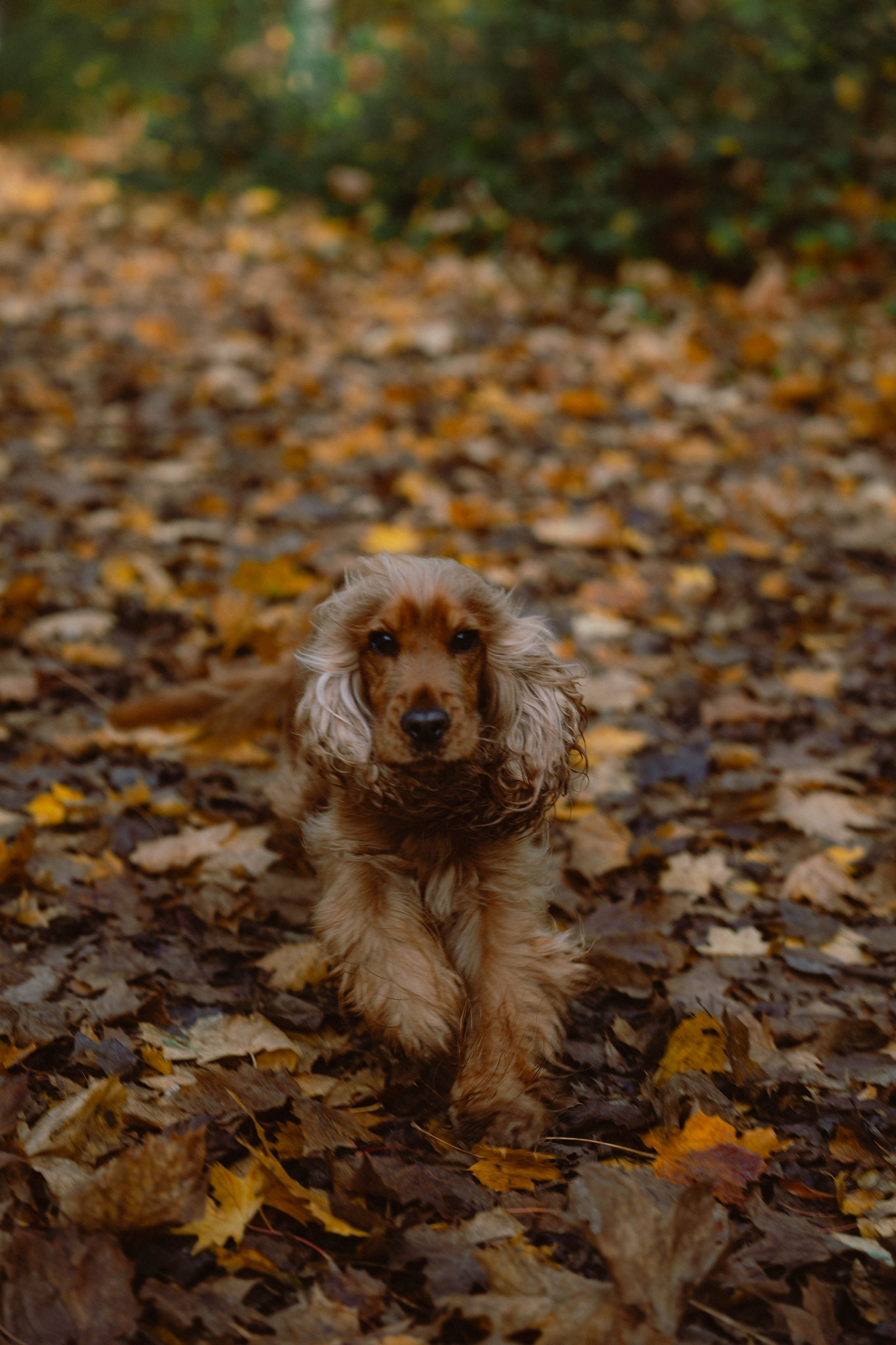 Nina & Cécile. Weeding photographer / event / portrait
