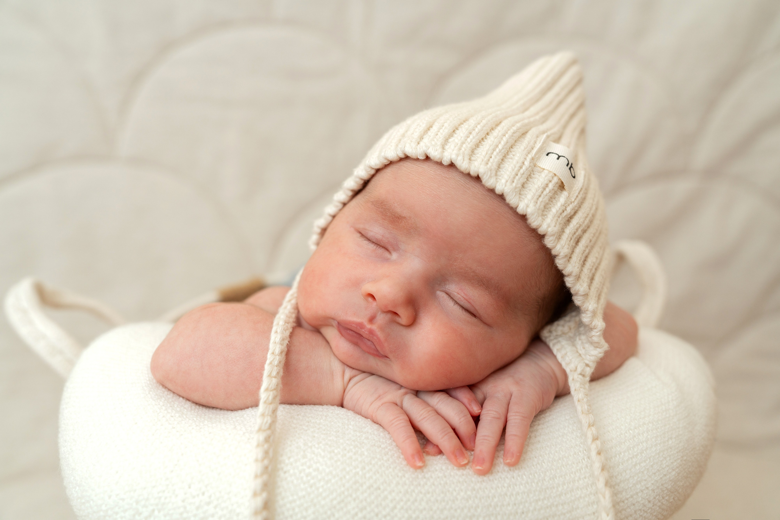 Alicia. Fotografin in Bad Hersfeld