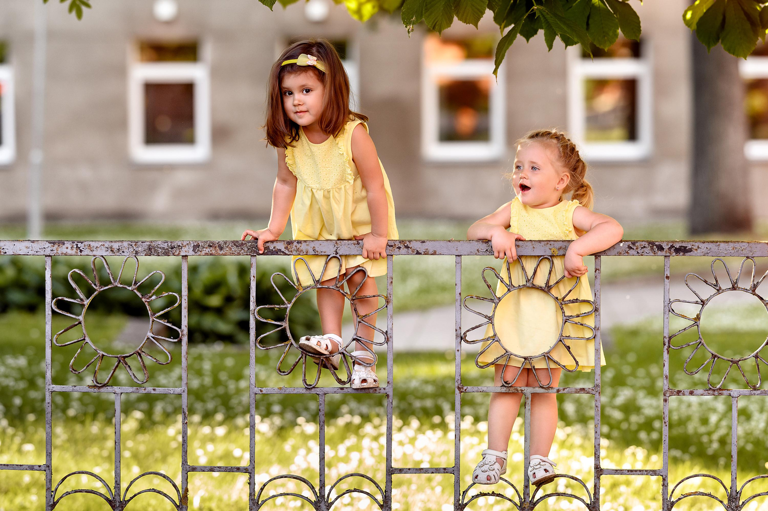 Алиса и Эмилия