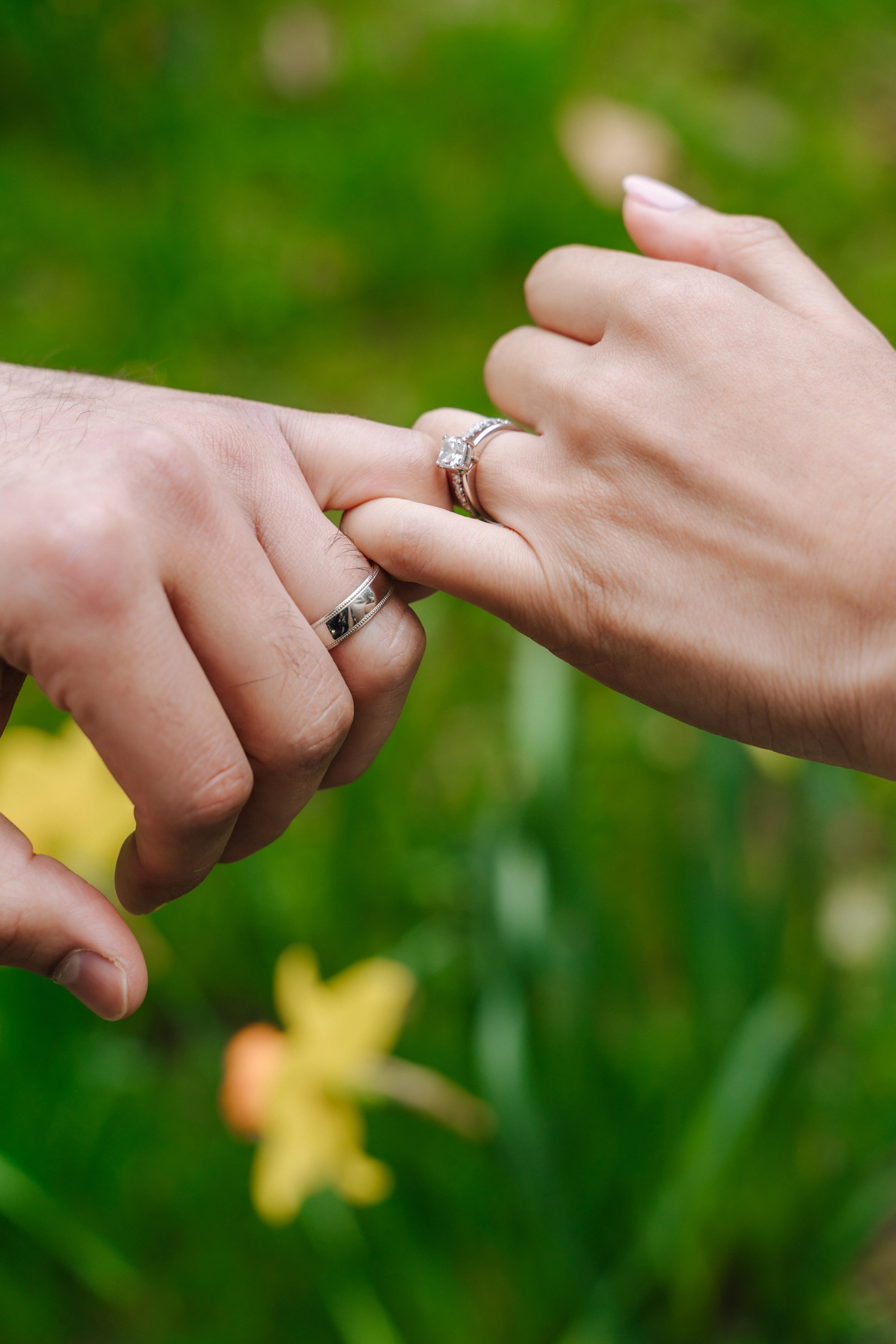St Albans Register Office, St Albans Register Office wedding , St Albans, wedding in St Albans, civil ceremony in St Albans Register Office, small wedding, photographer for small wedding in St Albans Register Office