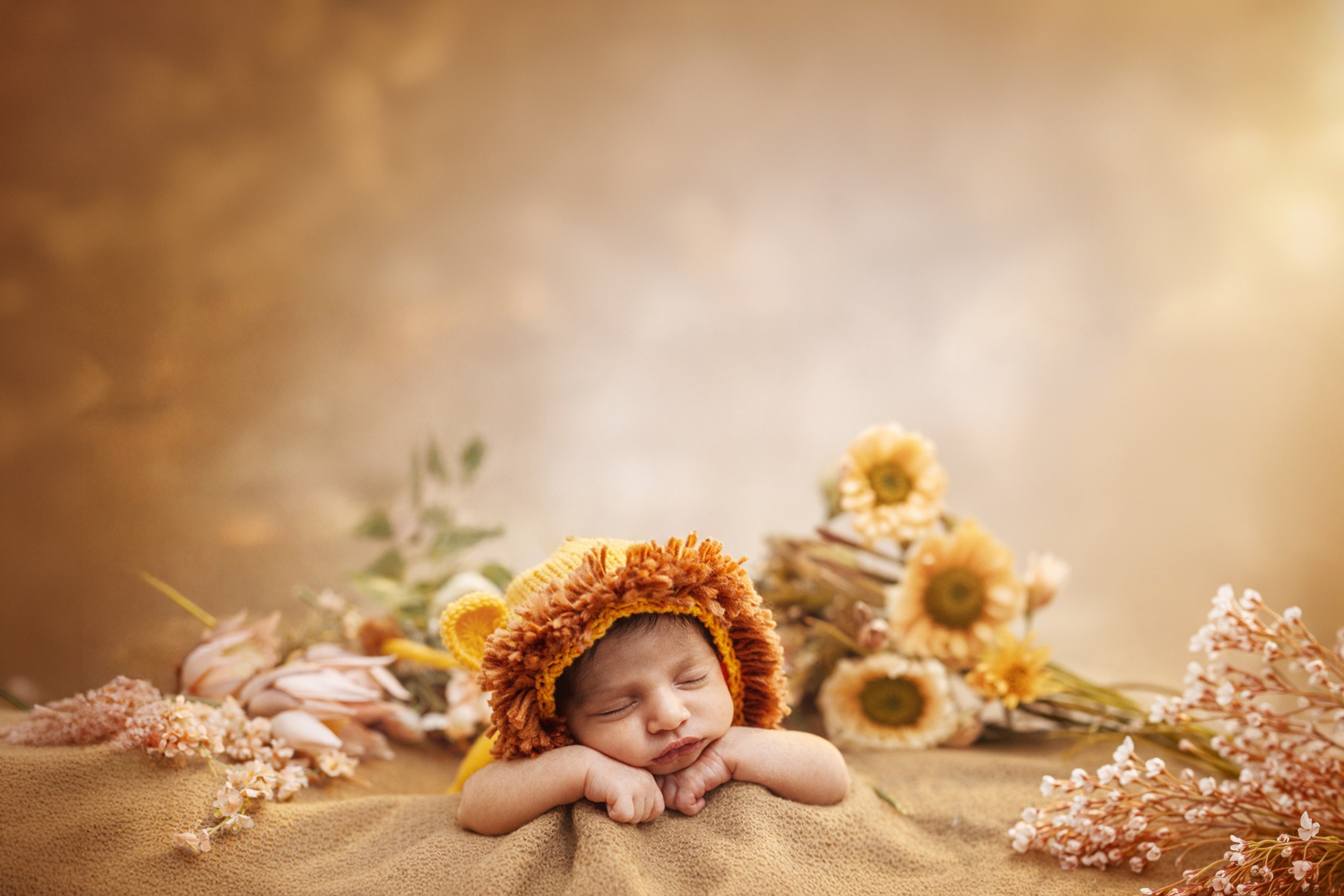 New born photography. JY Productions